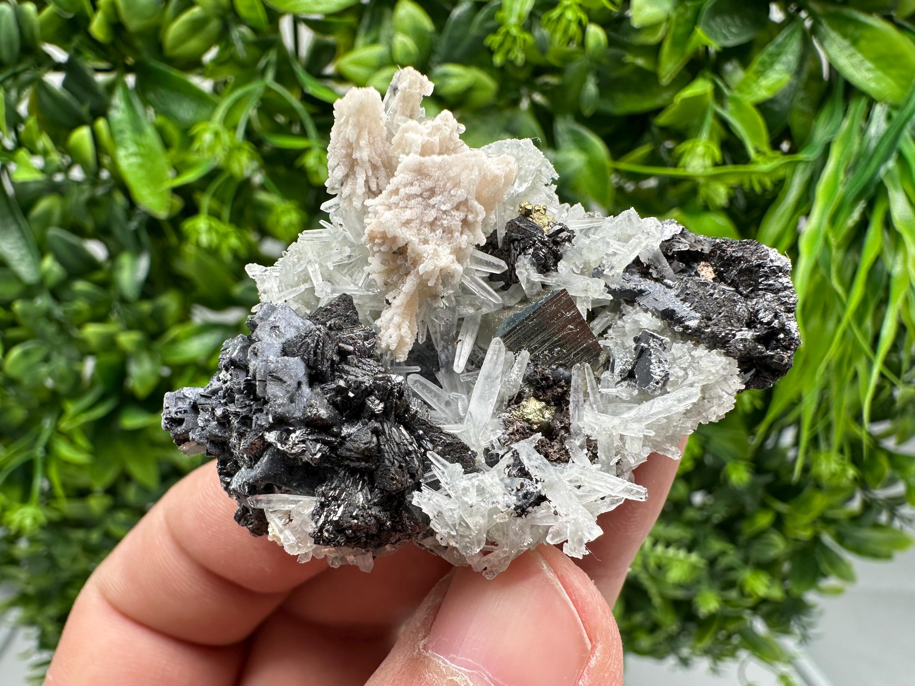 Golden Pyrite,Sphalerite from 9th September mine,Madan,Bulgaria,natural,collectible mineral specimen,home decor crystal,Pyrite cluster,