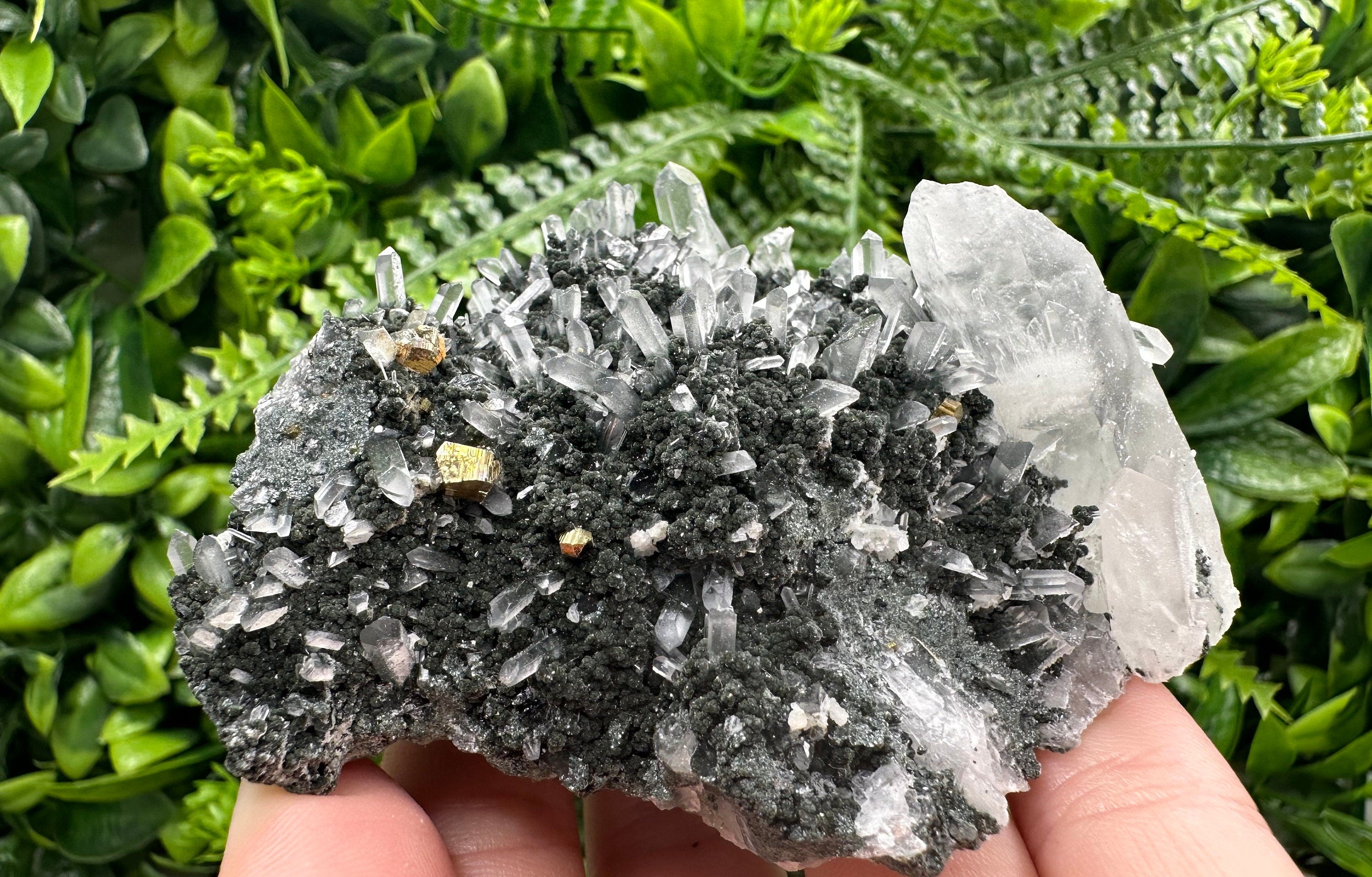 Quartz Calcite Chlorite Crystal: Borieva Mine, Bulgaria