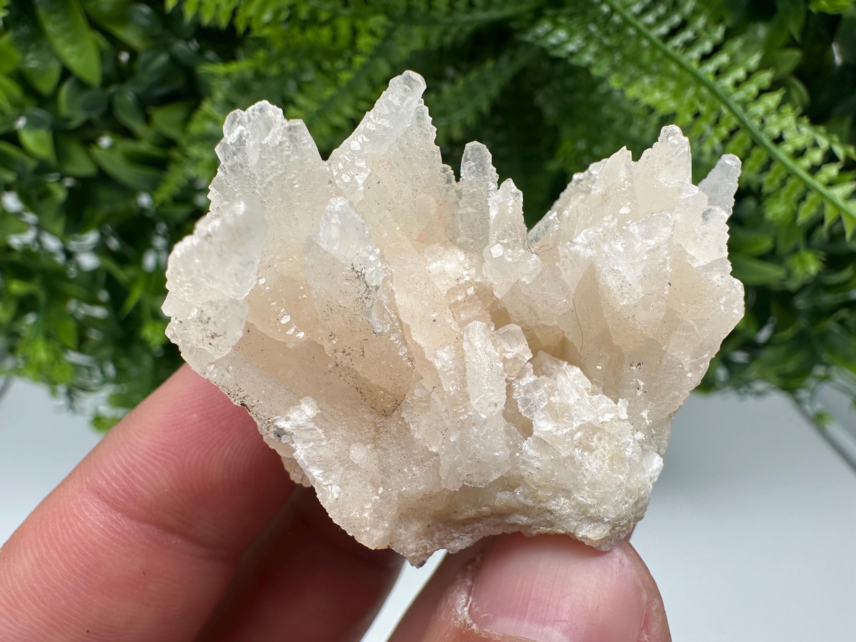 Calcite on Green Quartz: Djurcovo Mine, Bulgaria Crystal