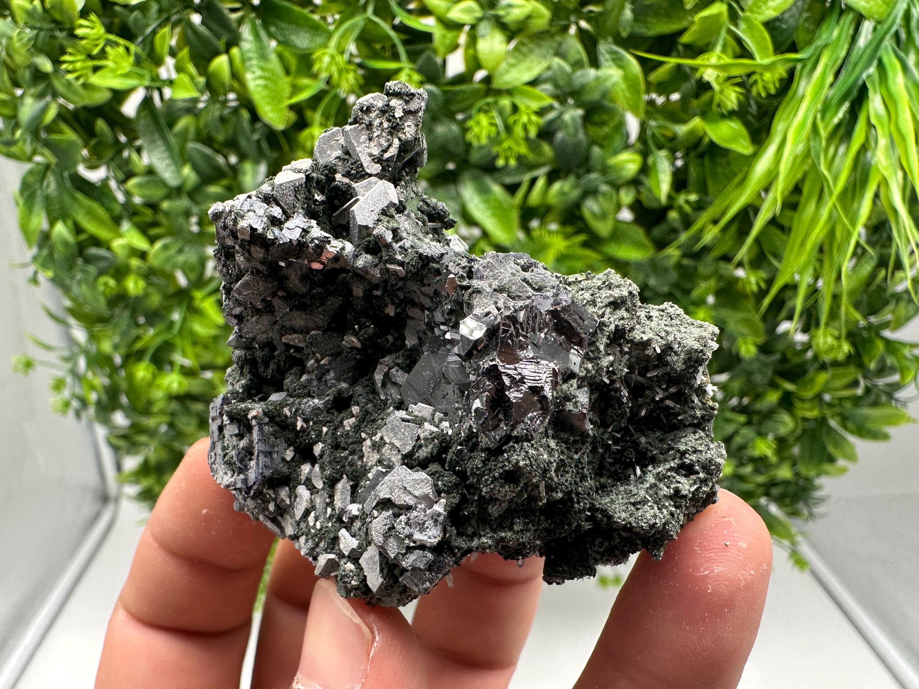 Quartz, Chlorite, Galena & Sphalerite Mineral Specimen: Borieva Mine