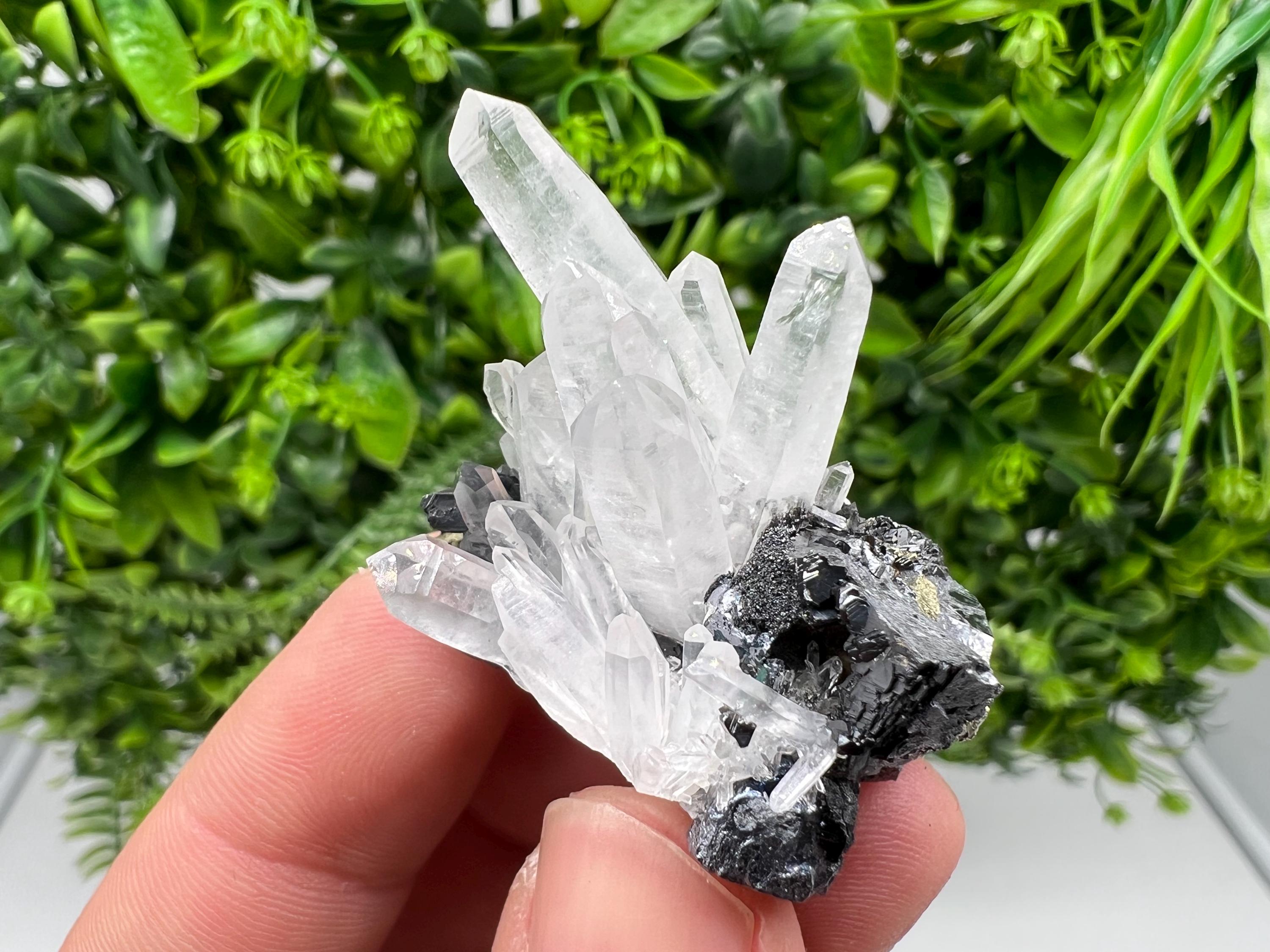Aesthetic Natural shiny Galena whit Siderite and Quartz from 9 th September mine,Bulgaria,collection specimen,rare galena,Galena cluster