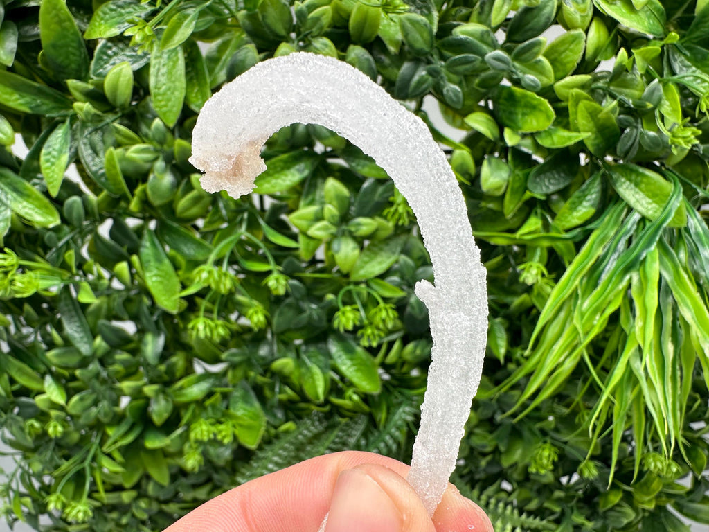 White Selenite Gypsum "Ram's Horn'' Selenite,from Guizhou,China,perfect Shape and Luster,Fluorescent Selenite Gypsum,minerals specimen,colle