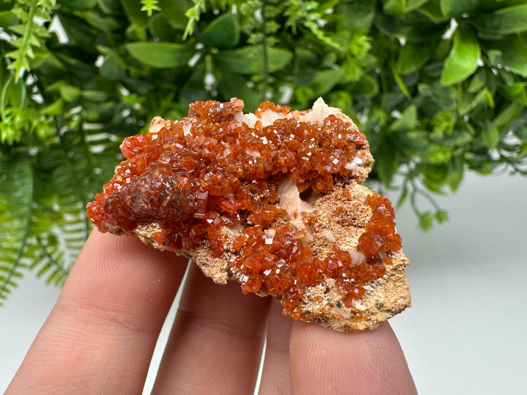 Red Vanadinite on Barite from Marocco,crystal minerals Speciment cluster Vanadinite crystal Vanadinite Geology Vanadinite cluster minerals