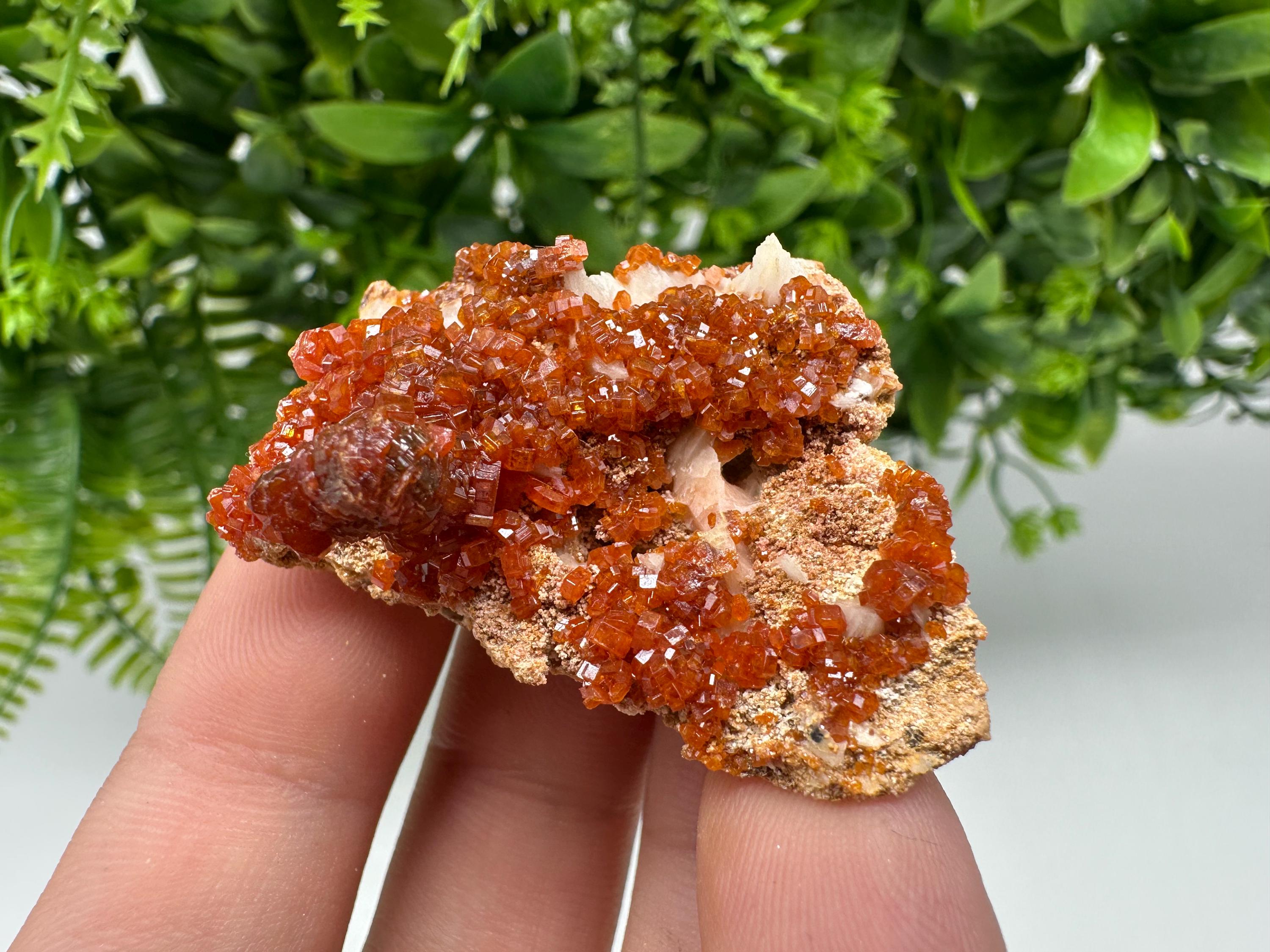 Red Vanadinite on Barite from Marocco,crystal minerals Speciment cluster Vanadinite crystal Vanadinite Geology Vanadinite cluster minerals