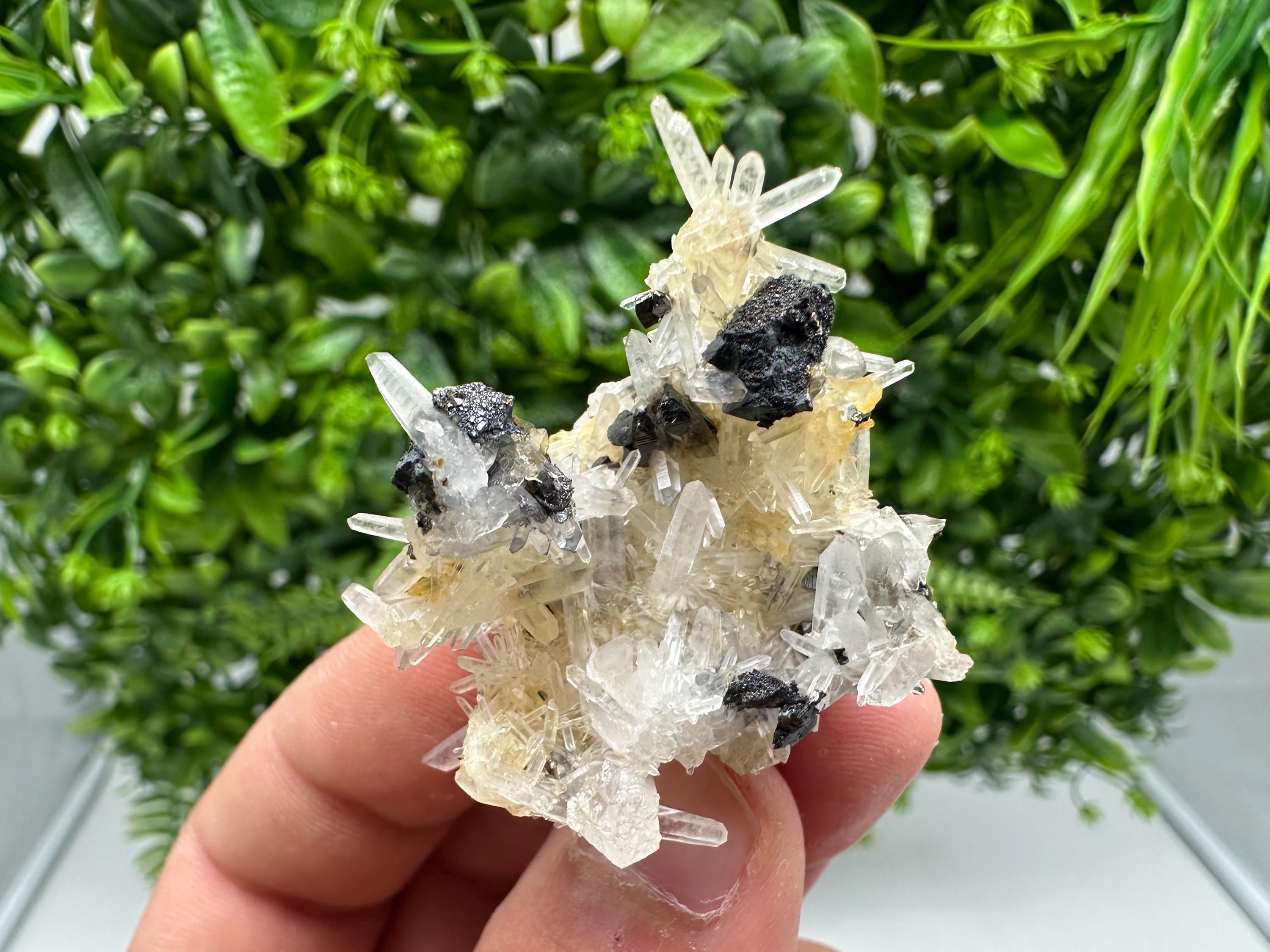 Wonderful Sphalerite Chalcopyrite on  Quartz whit Hematite from 9 th September mine,Bulgaria,natural,collection mineral specimen,gift