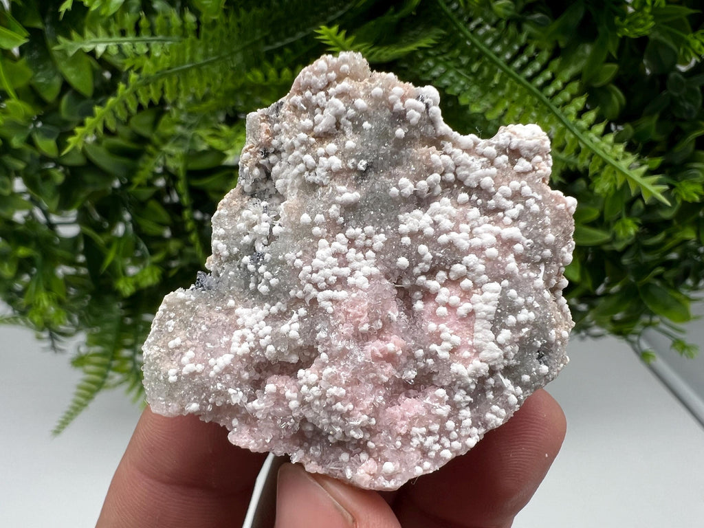RARE Rhodochrosite with White Calcite, Starnica Mine, Bulgaria
