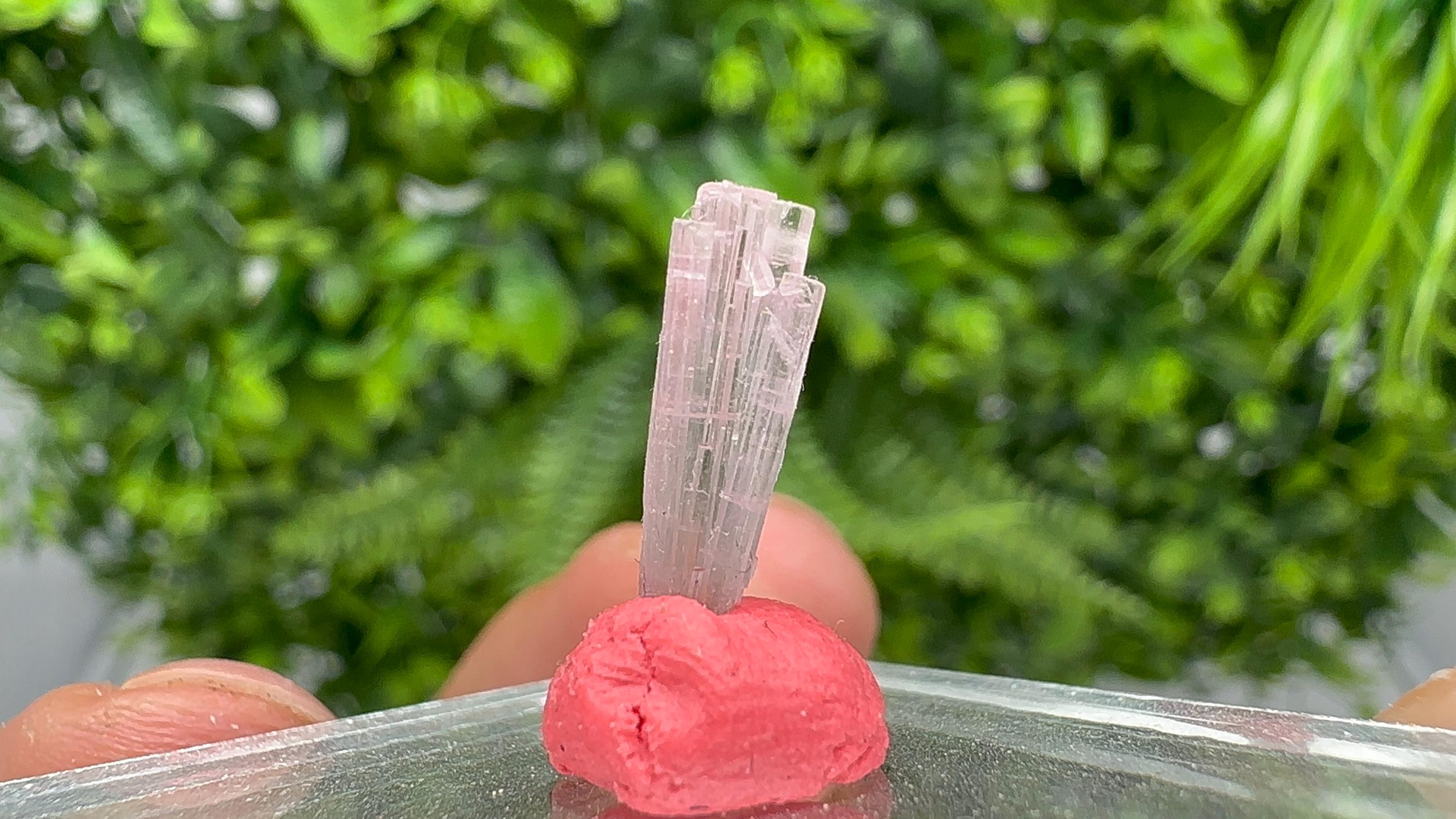 Rare Pink and Green Tourmaline Pencil - 15mm