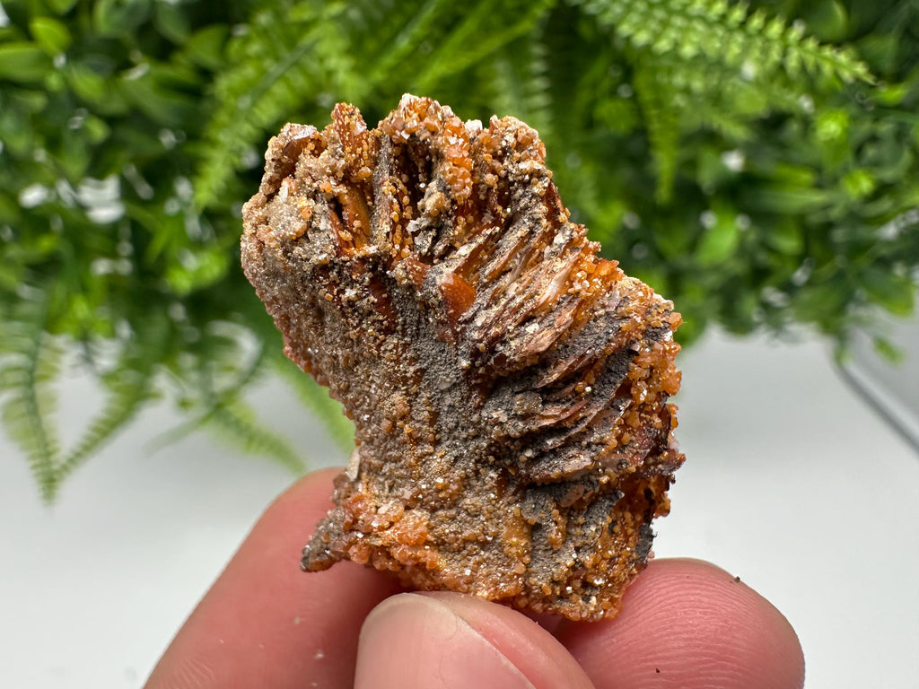 Red Vanadinite on Barite from Marocco,crystal minerals Speciment cluster Vanadinite crystal Vanadinite Geology Vanadinite cluster minerals