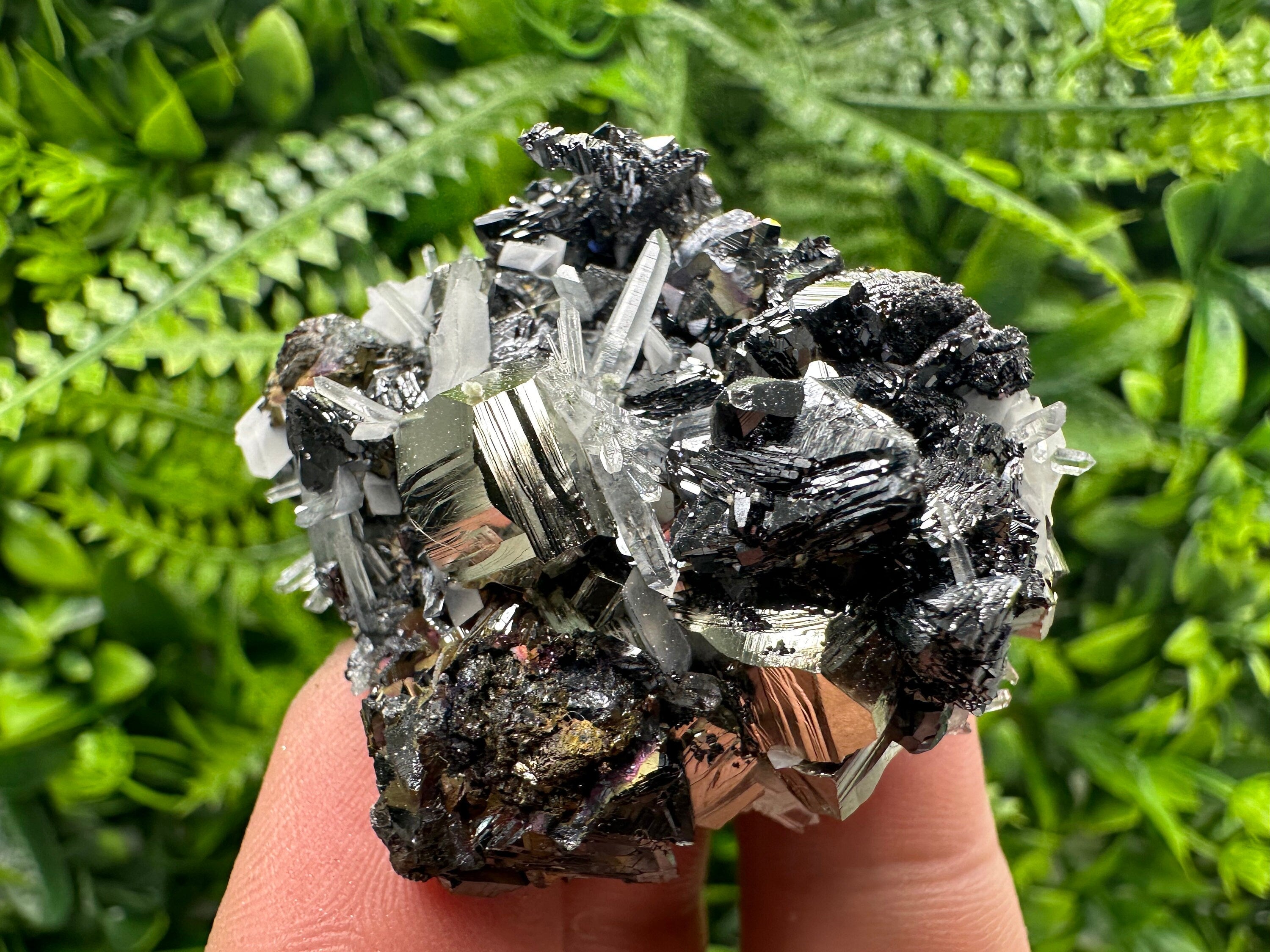 Pyrite Sphalerite Quartz Cluster, Borieva Mine Mineral Specimen