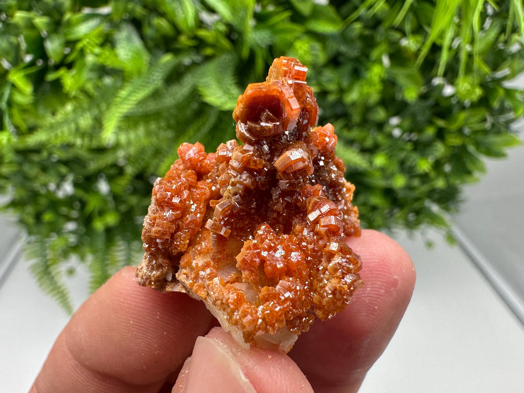Red Vanadinite on Barite from Marocco,crystal minerals Speciment cluster Vanadinite crystal Vanadinite Geology Vanadinite cluster minerals