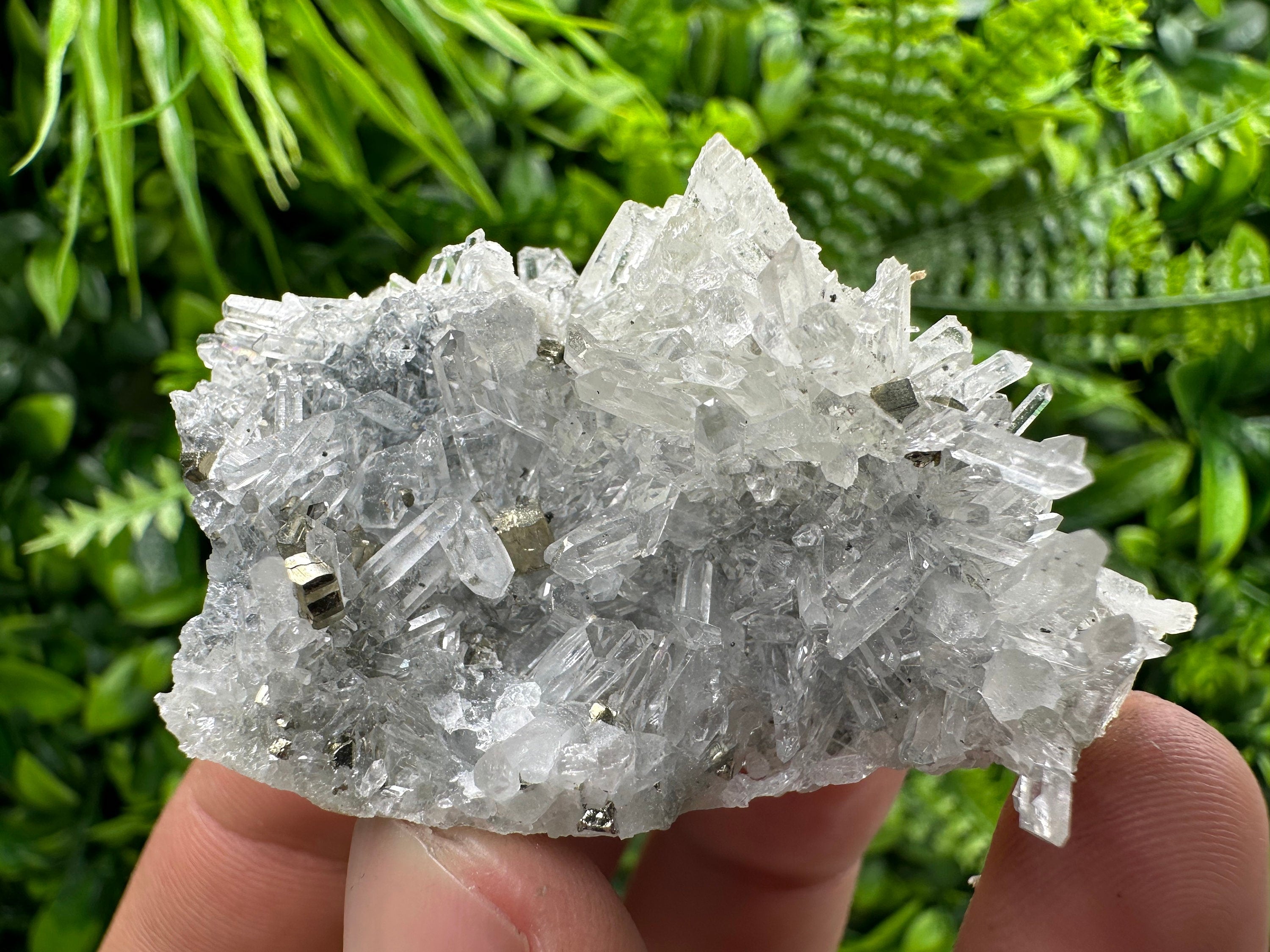 Pyrite on Needle Quartz: Borieva Mine Crystal Decor (6/4/3 cm)