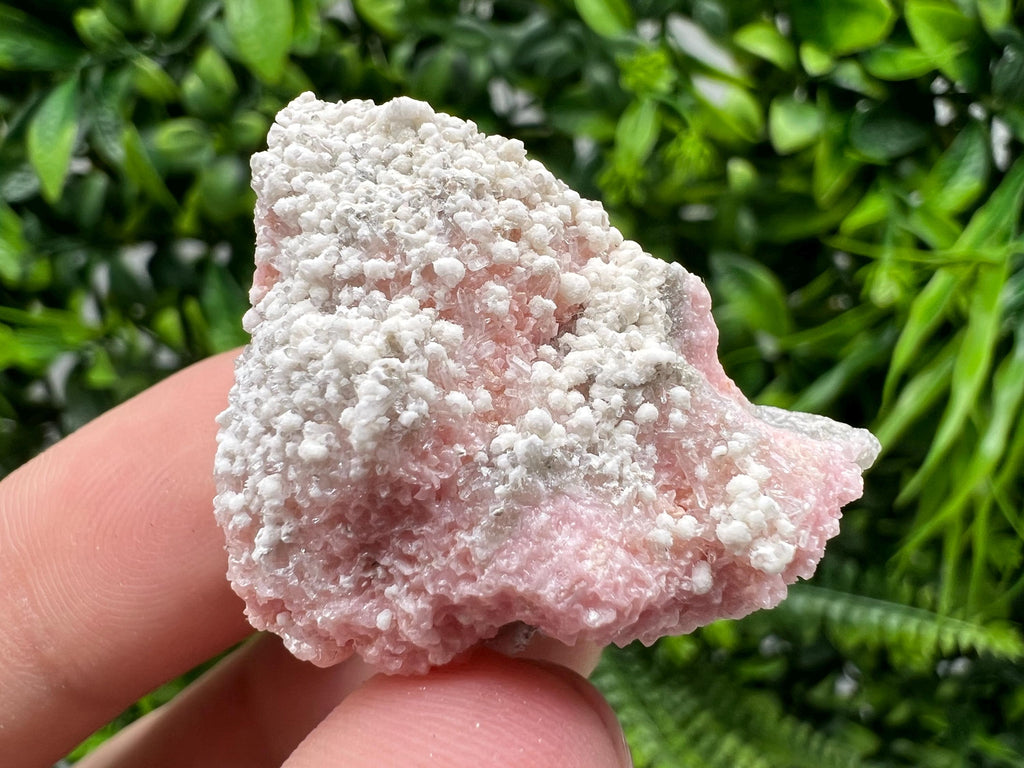 RARE Rhodochrosite with White Calcite, Starnica Mine, Bulgaria