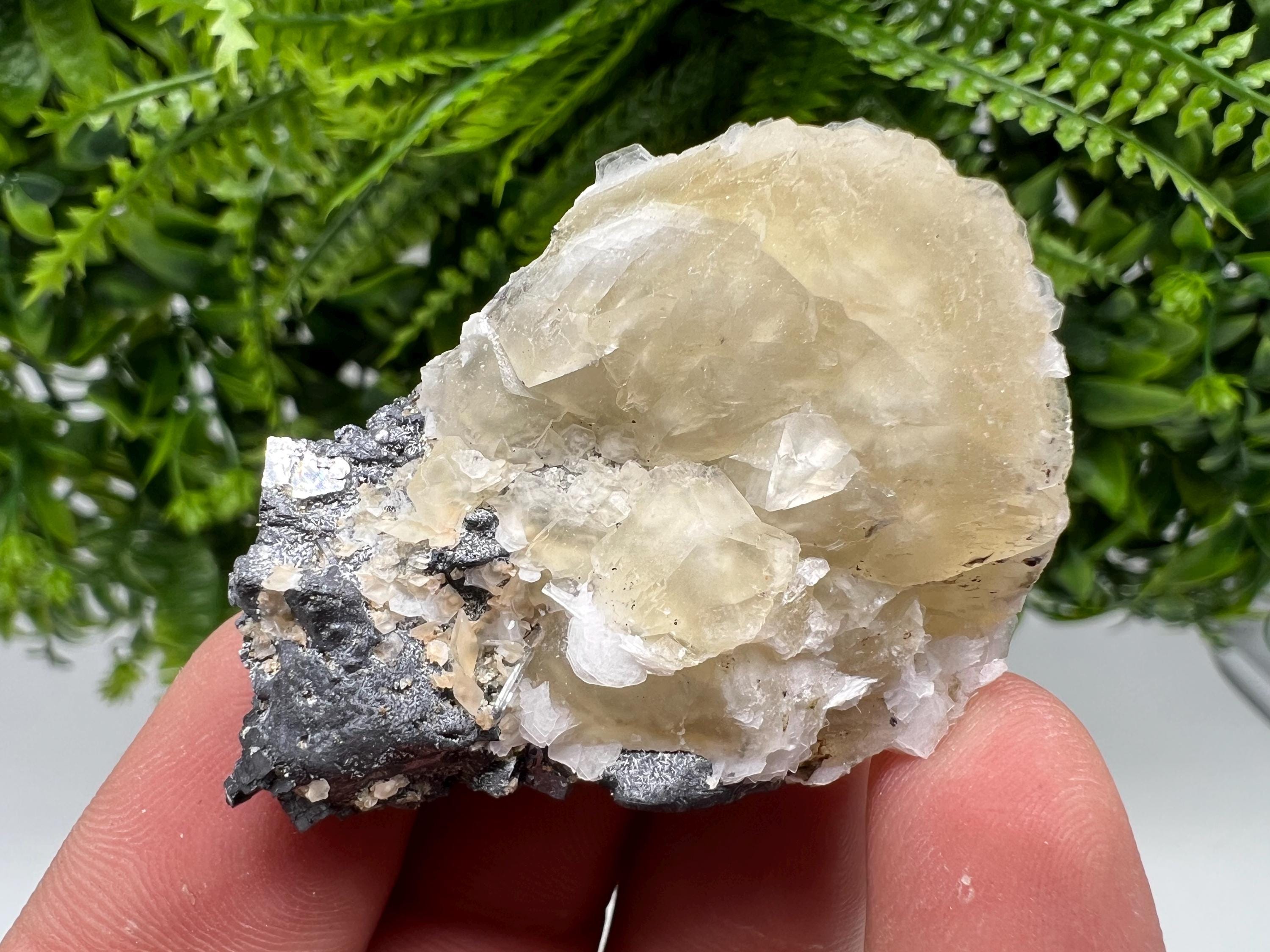 Calcite on Galena Specimen: Borieva Mine, Bulgaria