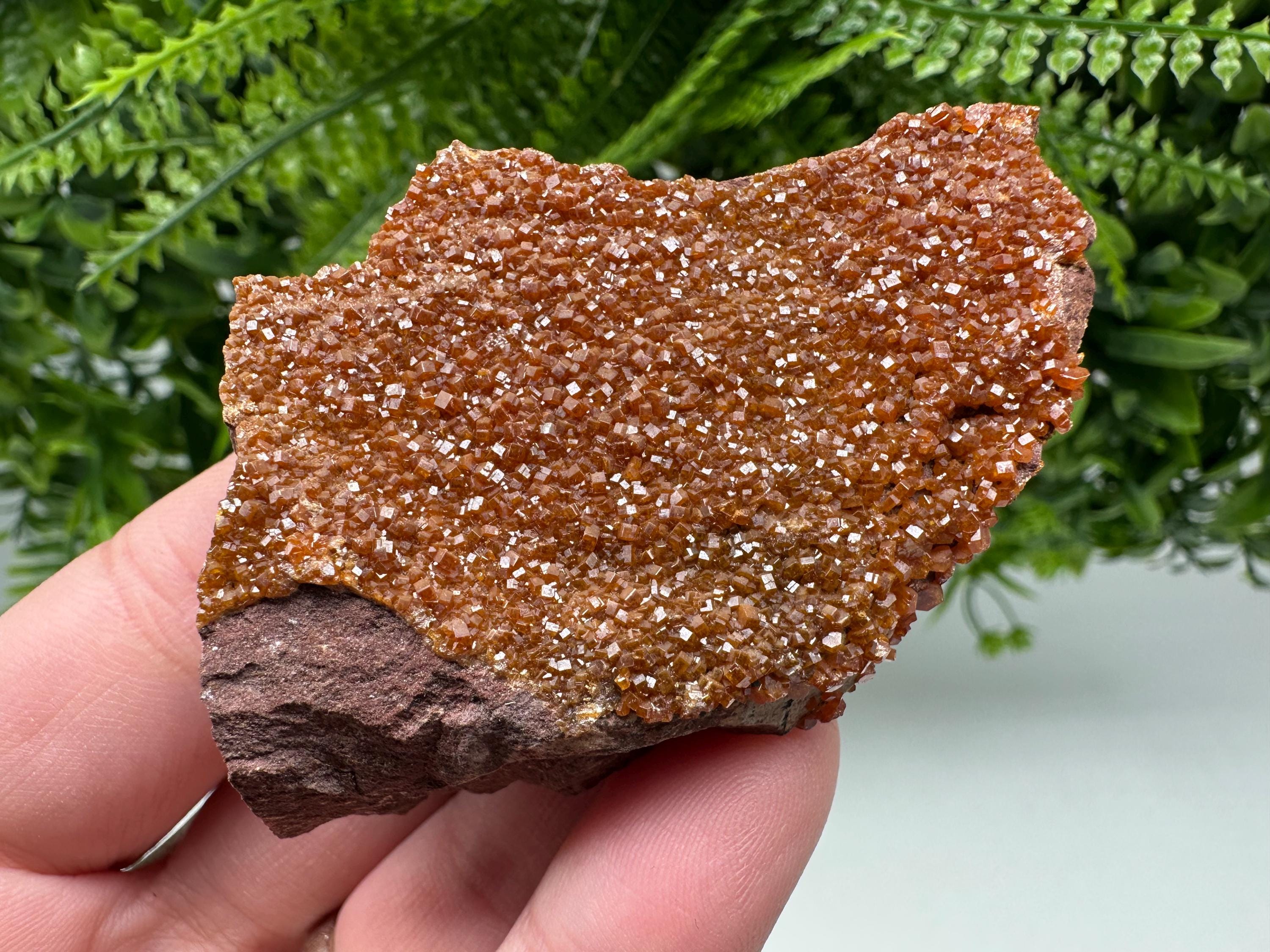Red Vanadinite on Matrix from Marocco,crystal minerals Speciment cluster Vanadinite crystal Vanadinite Geology Vanadinite cluster minerals