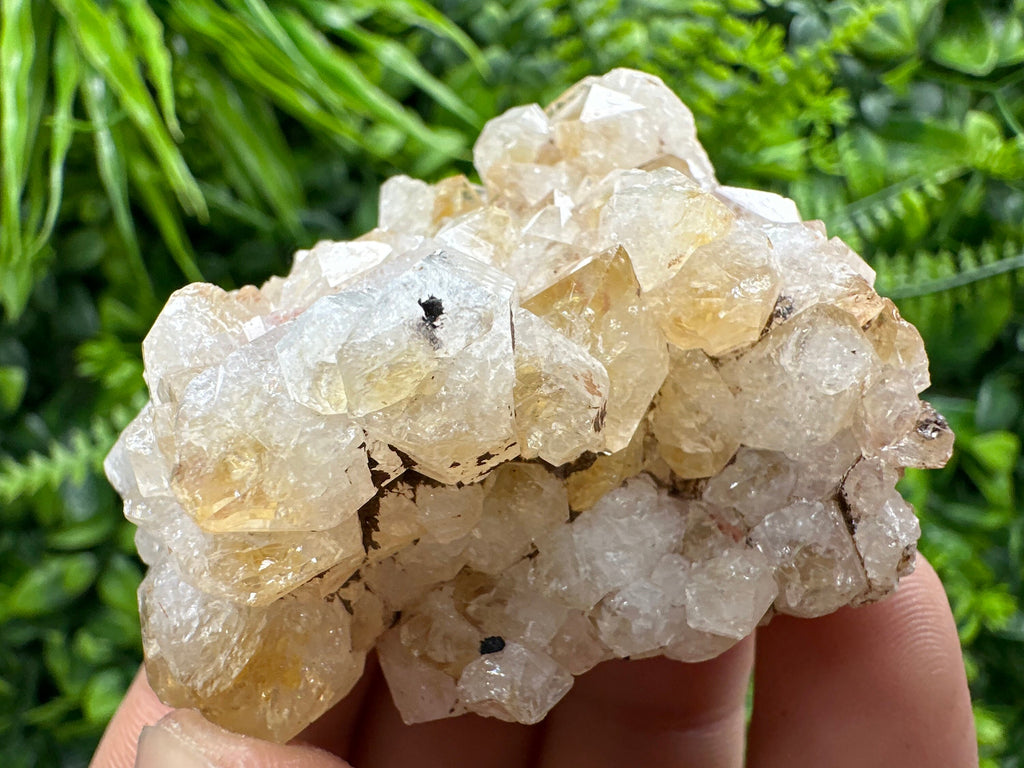 Citrine Crystal Cluster with Hematite Inclusions - Brazil
