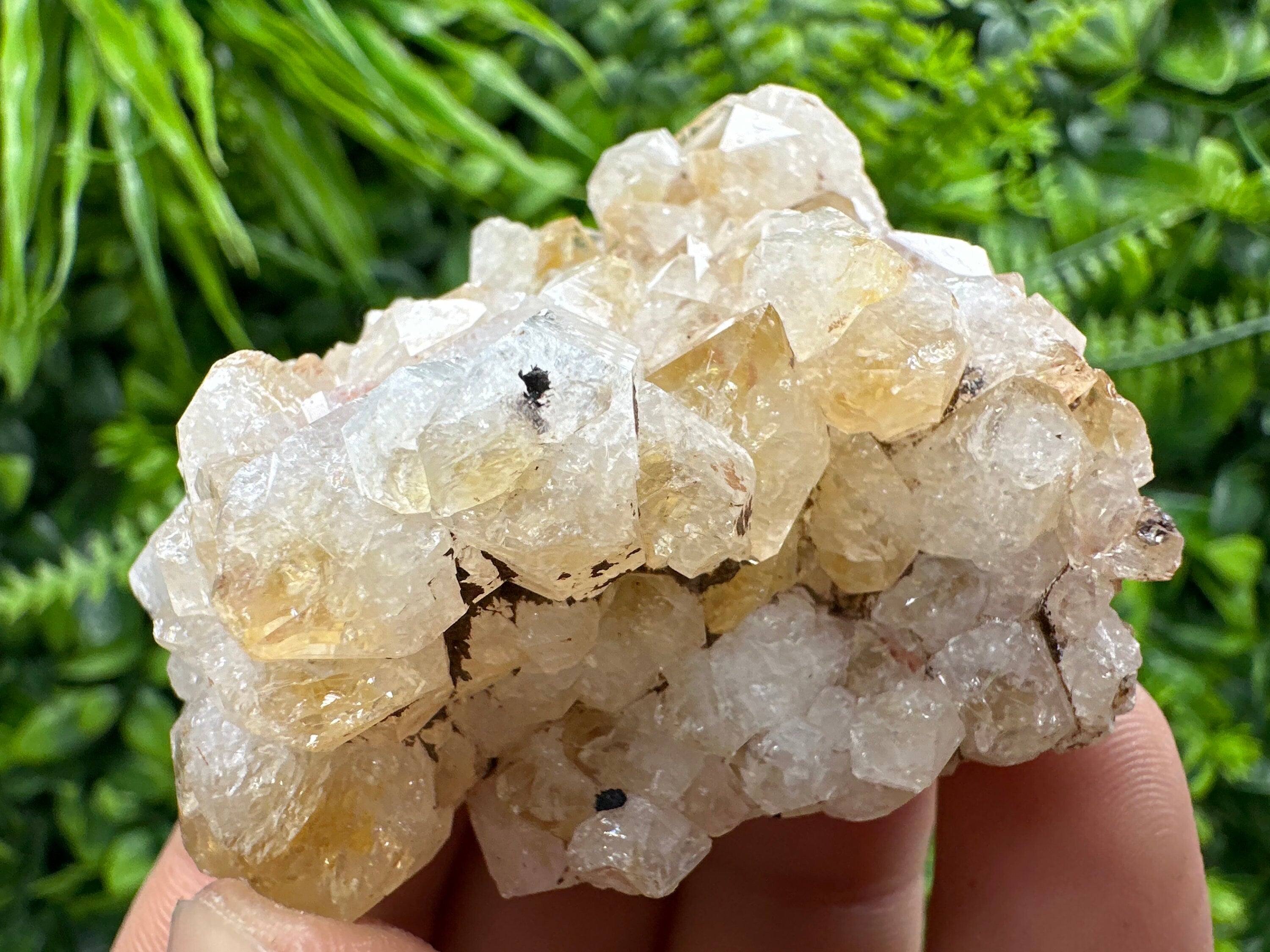 Citrine Crystal Cluster with Hematite Inclusions - Brazil