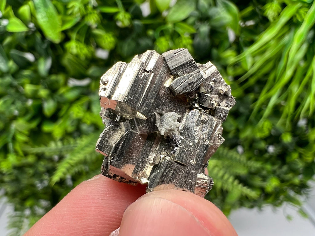 Rainbow Pyrite Cluster: Borieva Mine, Bulgaria - Mini Collection