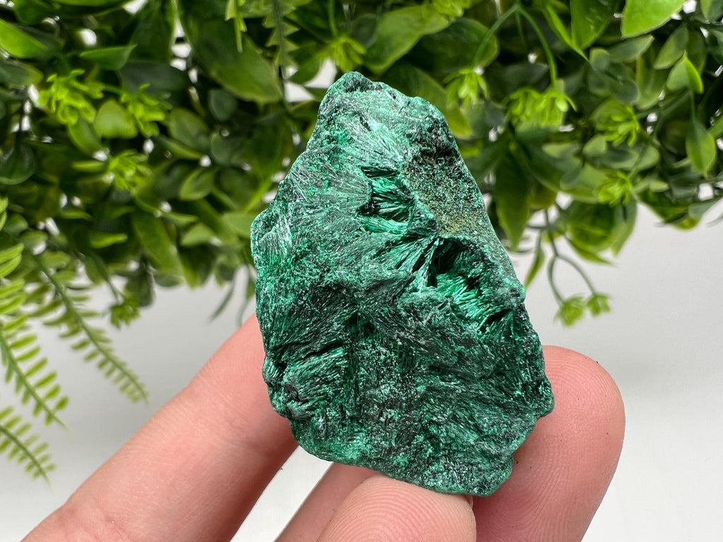 Malachite Crystal from Congo,Minerals,Crystals from Congo,Green Malachite, Malachite,Natural Malachite,Malachite Stone,Chakra, Specimens