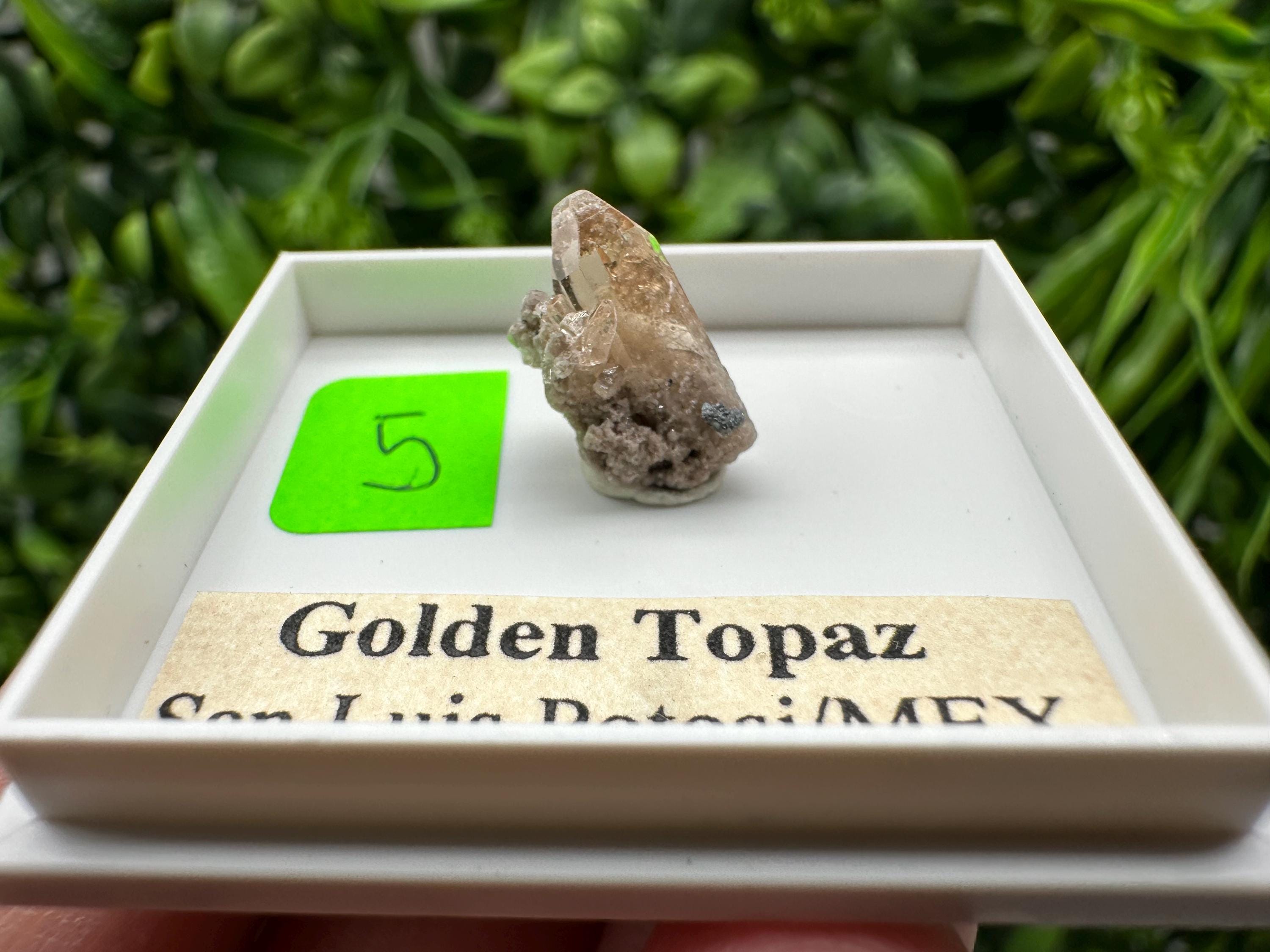 Golden Topaz Crystal, Mineral Specimen from Mexico