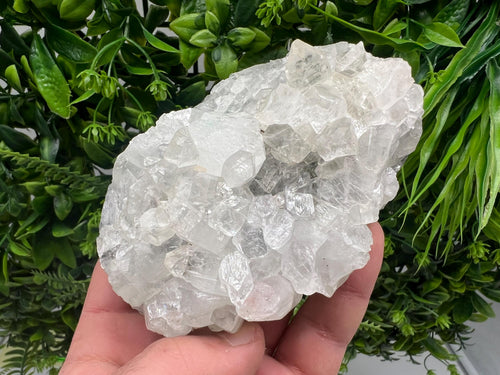 Apophyllite on Chalcedony Specimen: Transparent Crystal, India Minerals