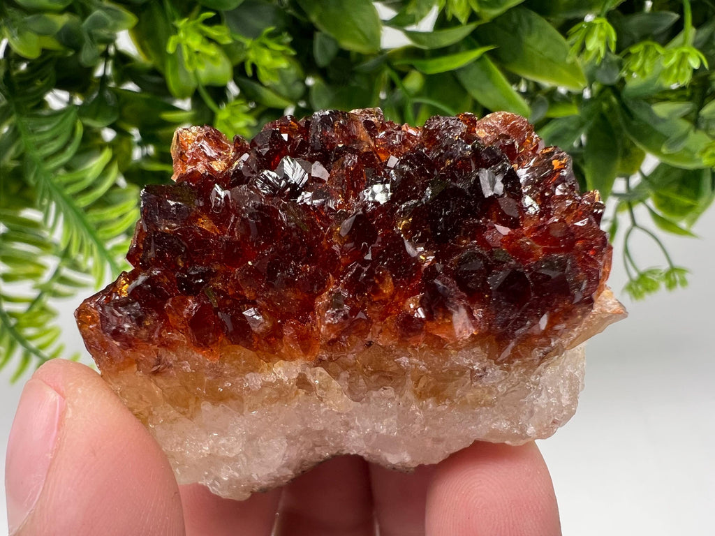 Citrine Crystal Cluster with Hematite Inclusions - Brazil