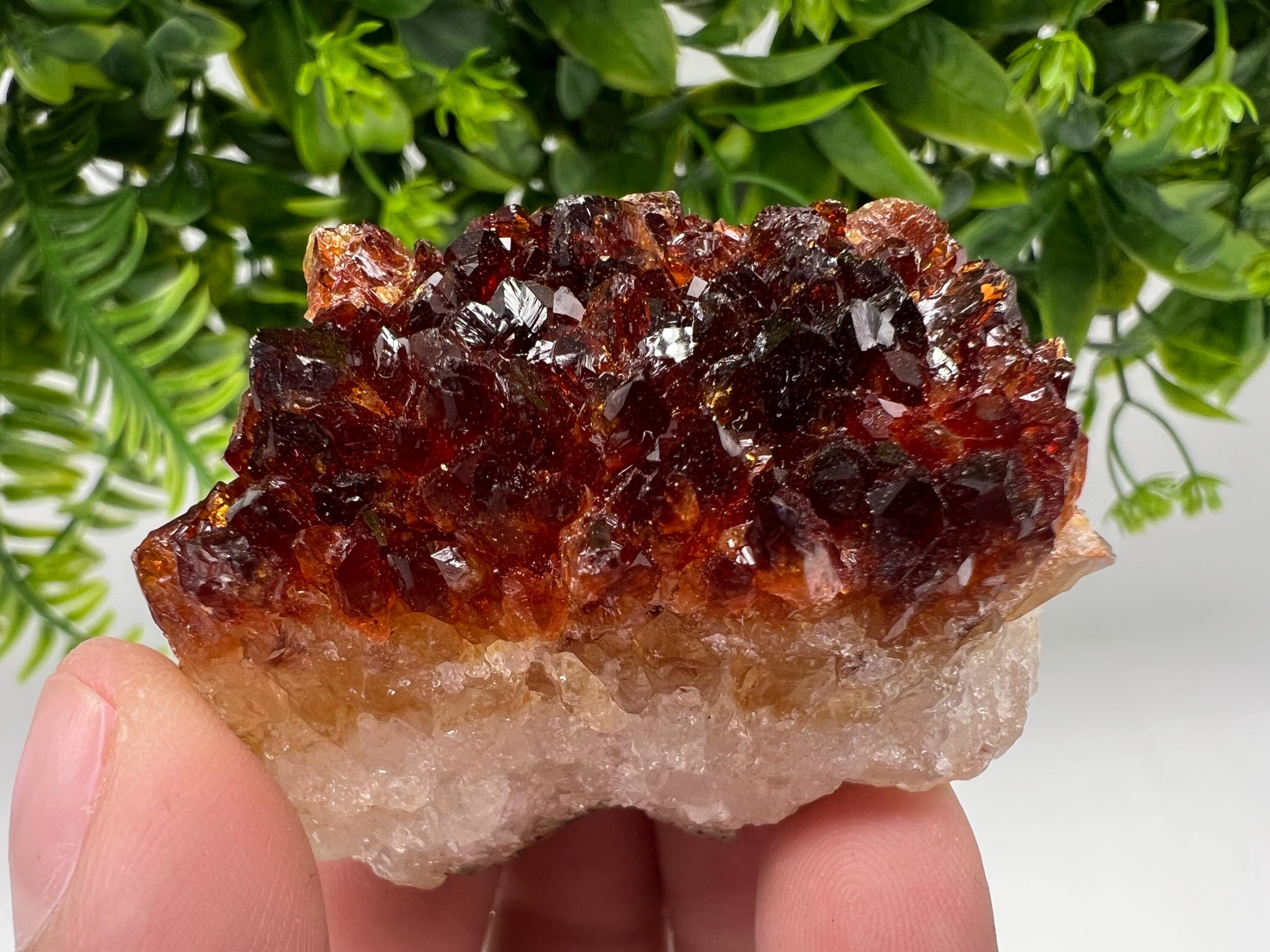 Citrine Crystal Cluster with Hematite Inclusions - Brazil