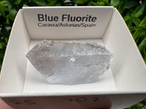 Blue Fluorite Mineral Specimen: Spain Collection (3.5/2.5cm)