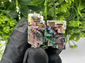Rainbow Bismuth Crystal: Rare Gemstone Specimen,wholesale Bismuth