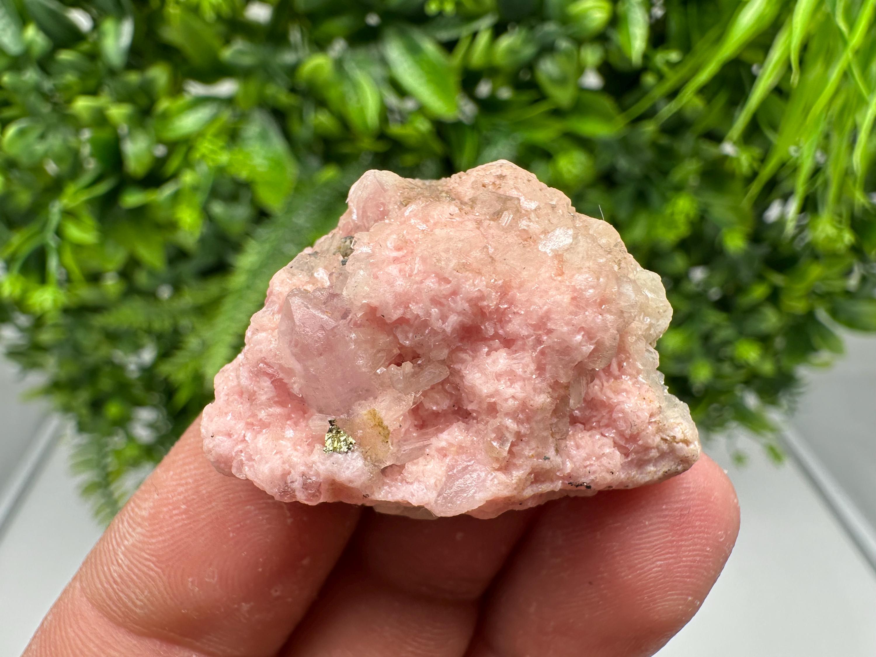 Rhodochrosite on Quartz: Pink Crystal Home Decor, Bulgaria Mineral Souvenir