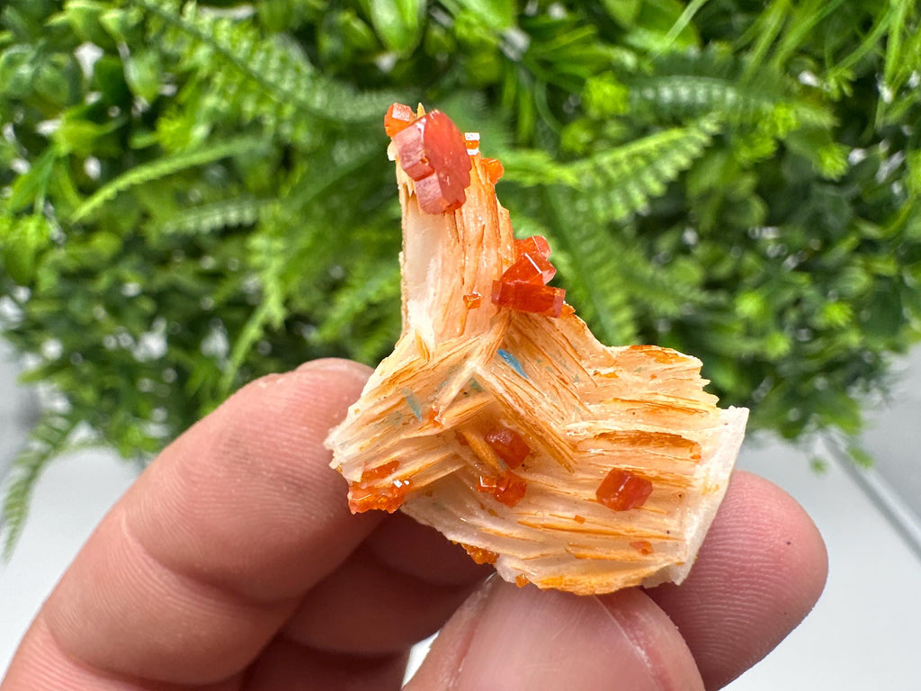 Red Vanadinite on Barite from Marocco,crystal minerals Speciment cluster Vanadinite crystal Vanadinite Geology Vanadinite cluster minerals
