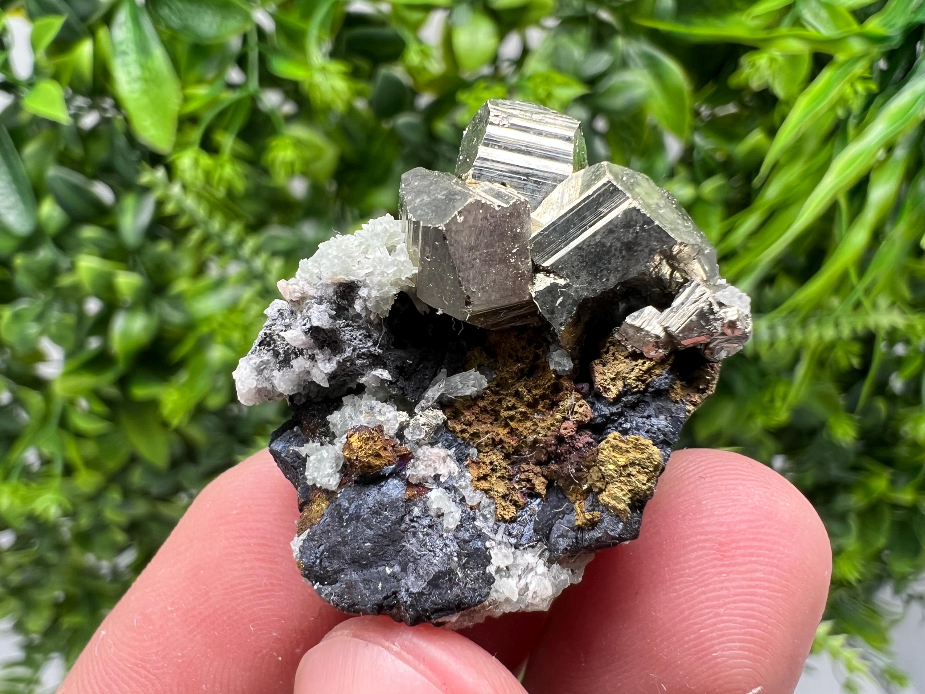 Golden Pyrite,Sphalerite from 9th September mine,Madan,Bulgaria,natural,collectible mineral specimen,home decor crystal,Pyrite cluster,