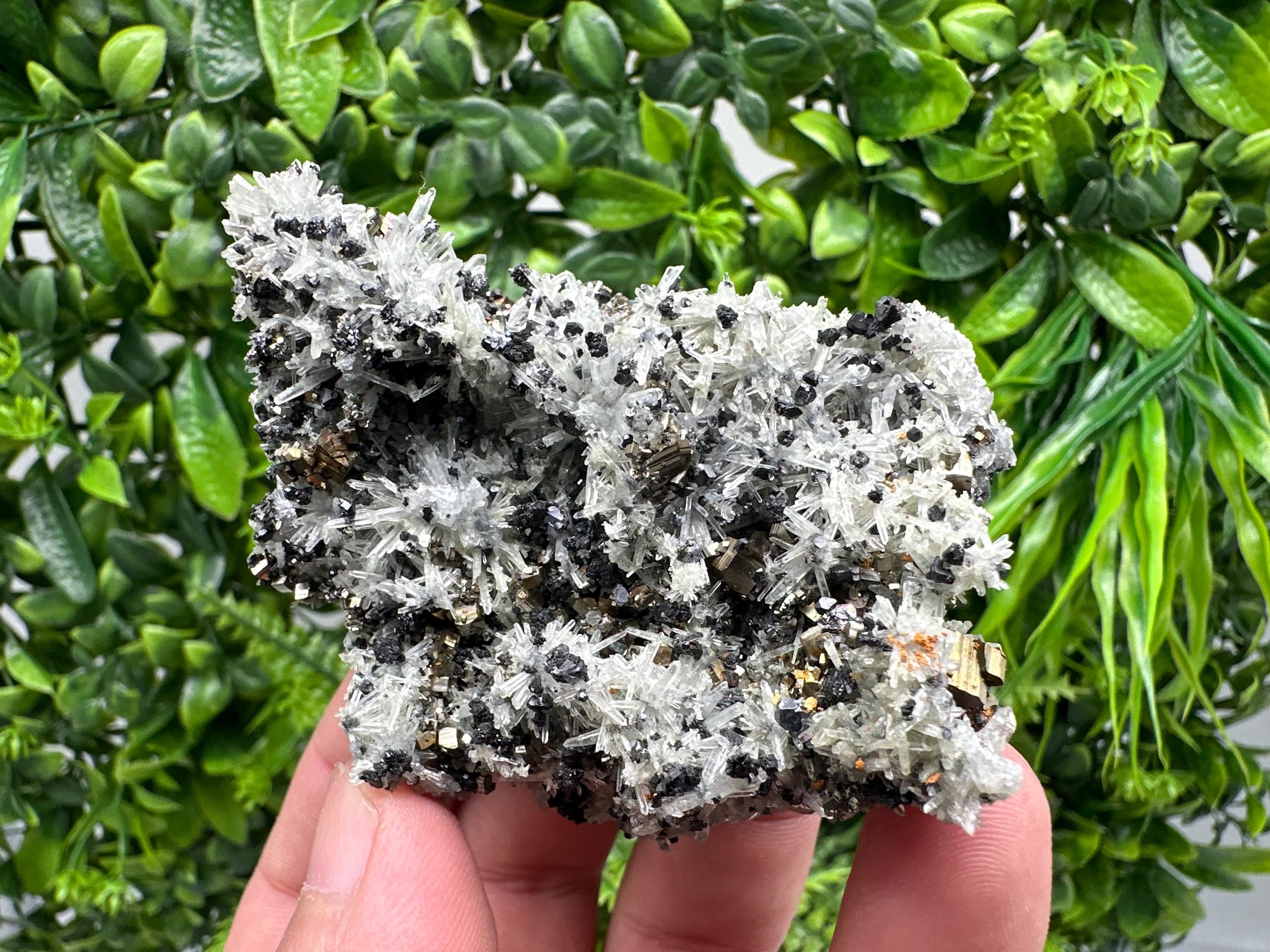 Pyrite on Needle Quartz, Madan Bulgaria, Mineral Specimen