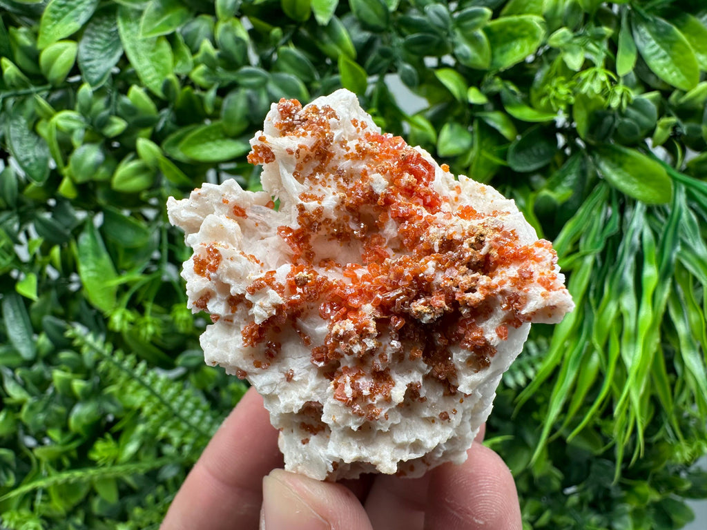 Red Vanadinite Crystal on Barite Matrix, Morocco Mineral Specimen
