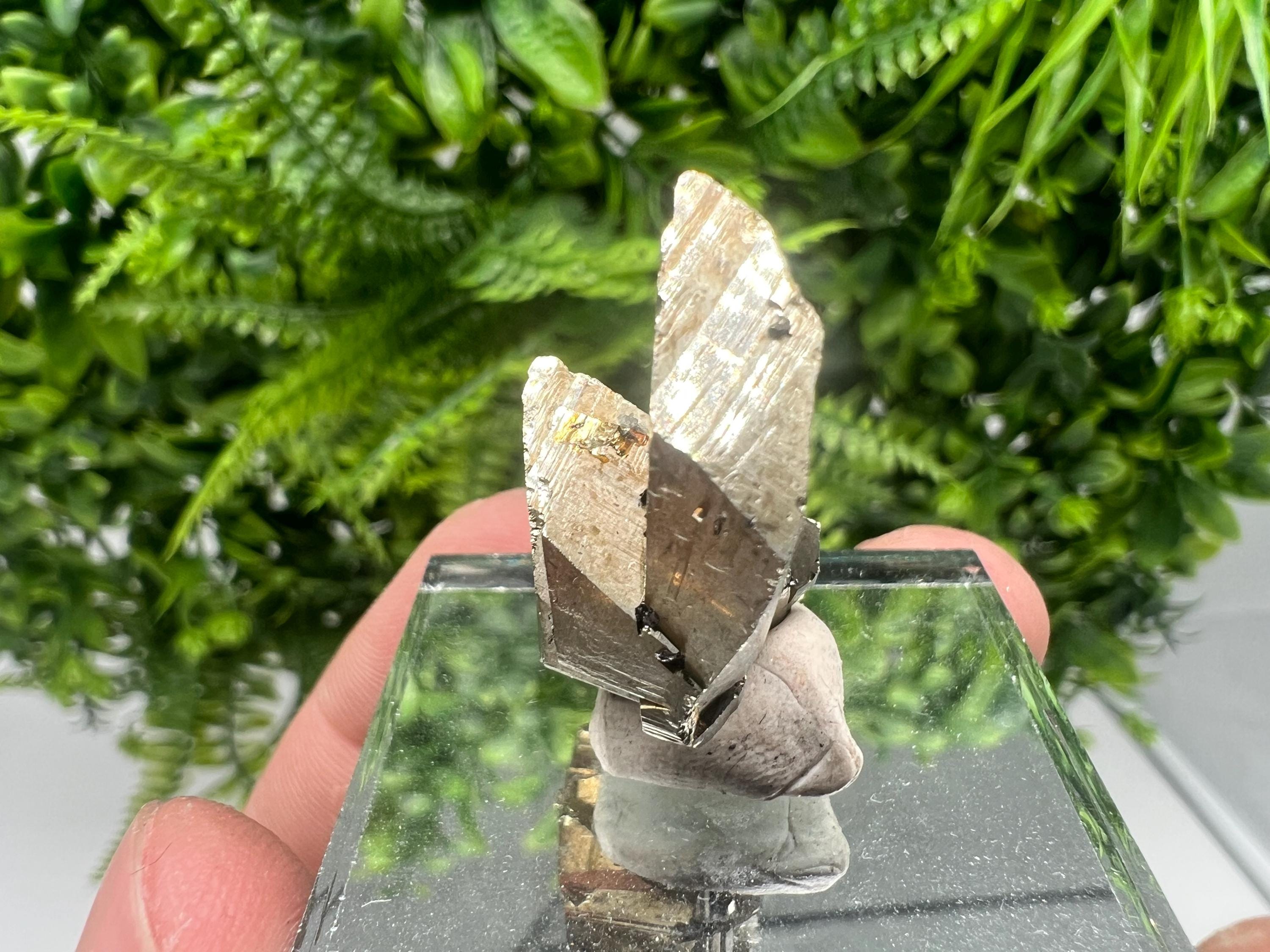 Mini Rare crystallisation Pyrite,Borieva mine,Bulgaria,floating Pyrite,golden Pyrite,Pyrite cluster,mini Collection specimen,Rainbow Pyrite