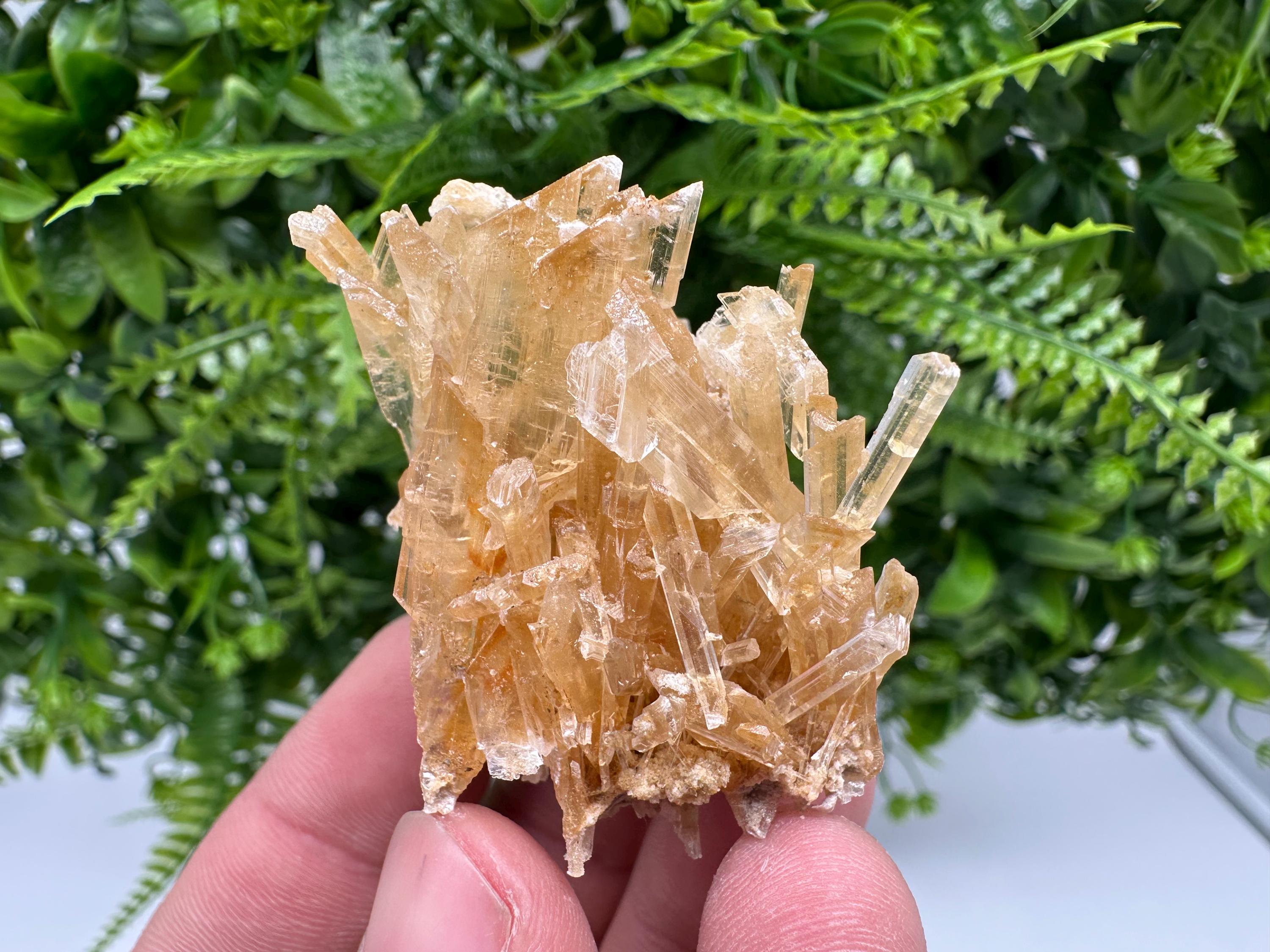 Brown Gypsum Selenite Crystal, Rudna Mine Poland, Mineral Specimen