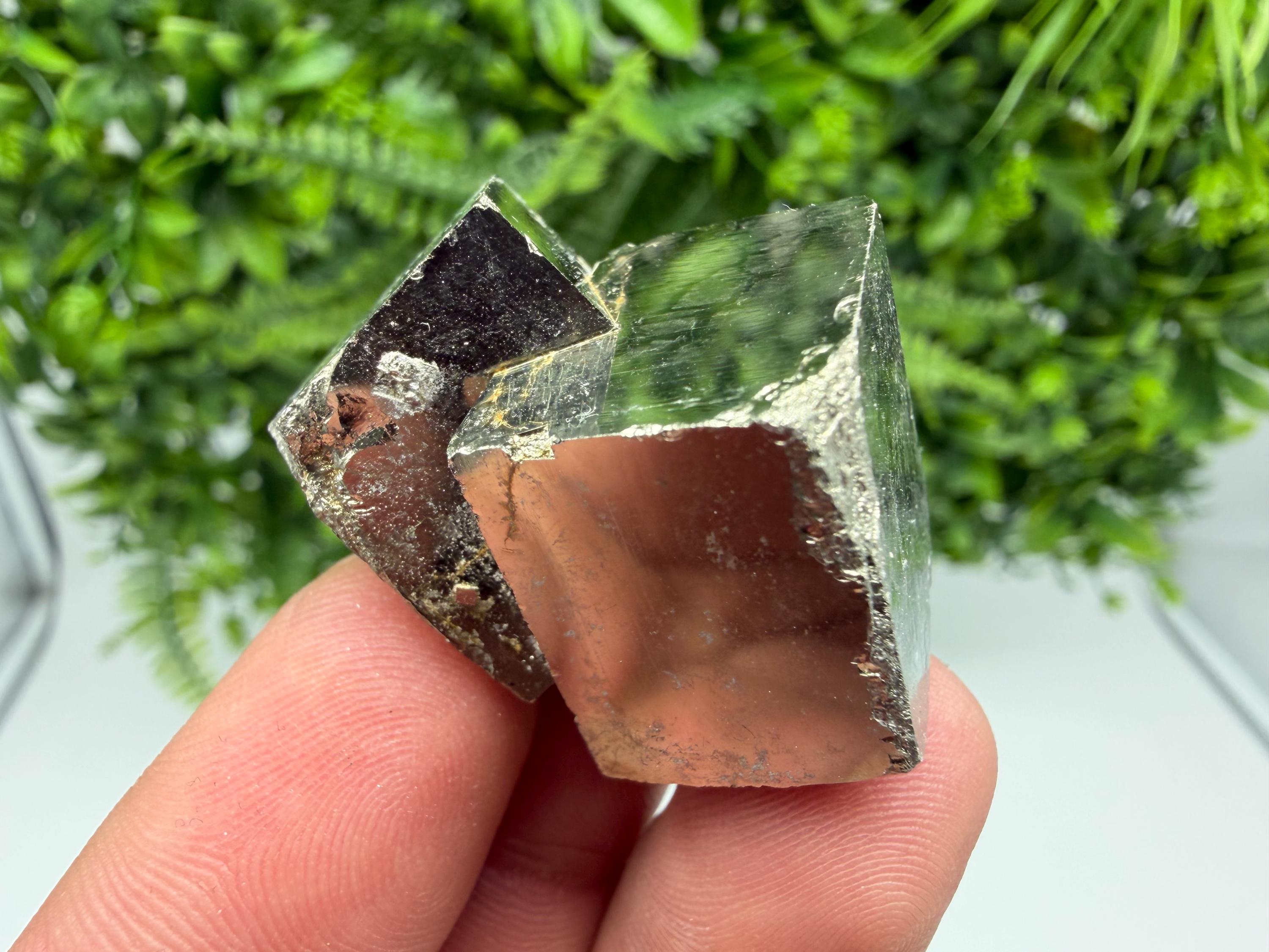 Interjoined,Pyrite,Gold,Cube PYRITE, Navajun, La Rioja, SPAIN,natural Pyrite shiny Pyrite home decor stone gift minerals,collectibls