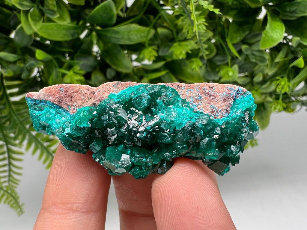 Green Dioptase Crystal Cluster: Sanda Hills, Congo