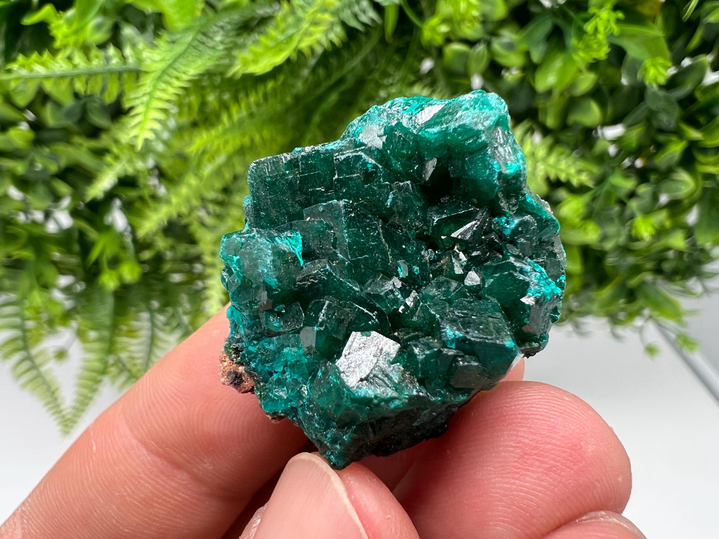 Stunning Green Dioptase from Sanda Hills,Mindouli,Pool Department,Mindouli District,Congo,green Dioptase,Dioptas Crystal,Dioptase collecting