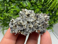 Pyrite on Green Quartz Mineral Specimen, Borieva Mine, Bulgaria