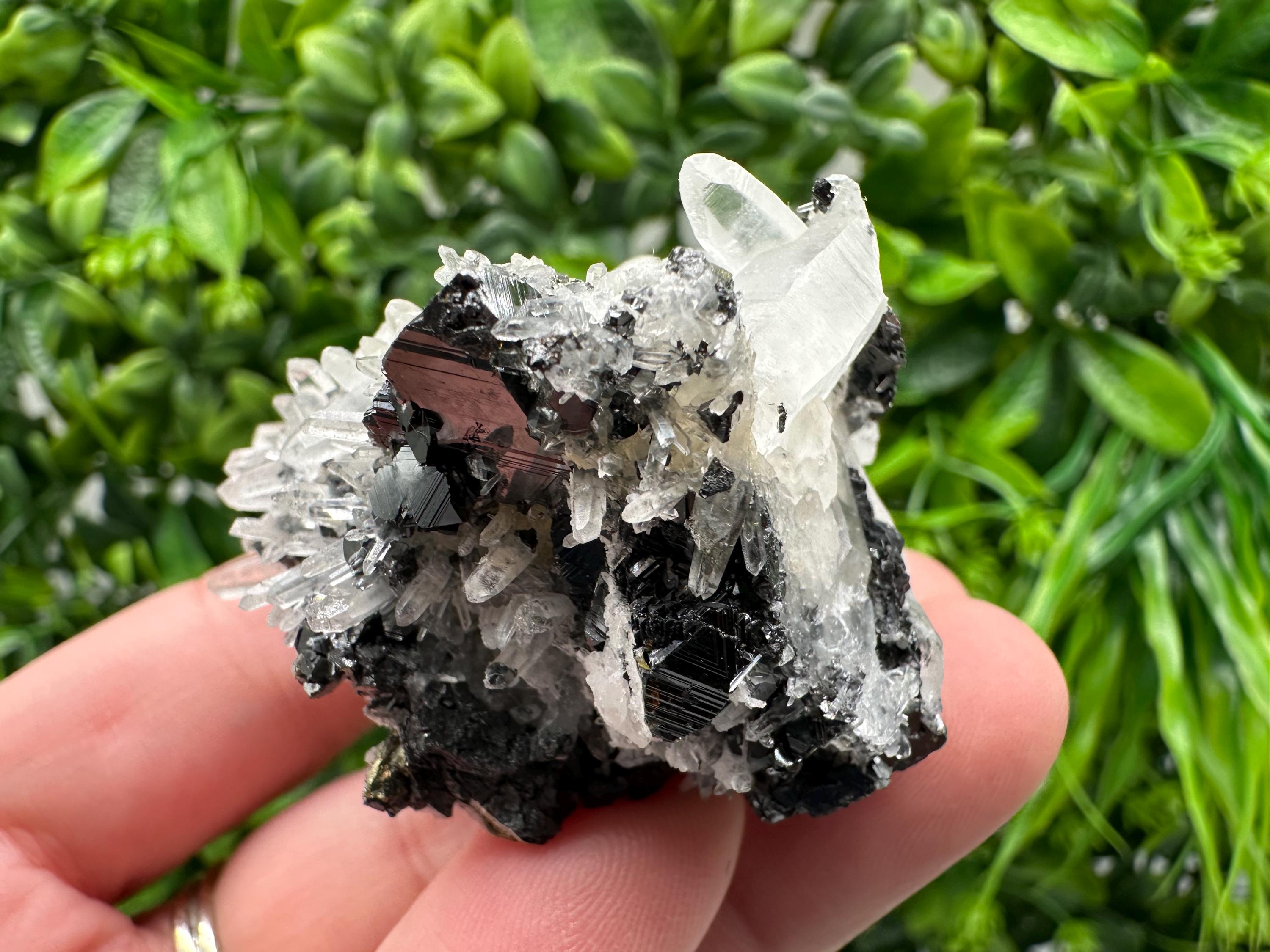 Wonderful Sphalerite Chalcopyrite on  Quartz whit Galena feom 9 th September mine,Bulgaria,natural,collection mineral specimen,gift