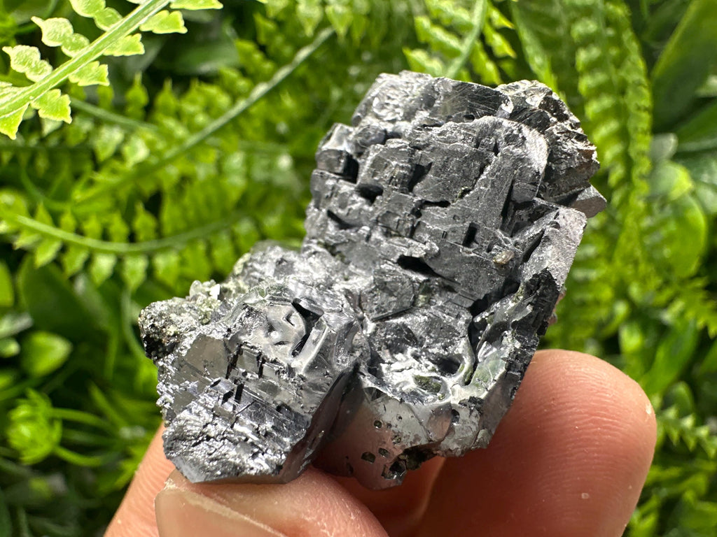 Shiny Galena Cluster: Borieva Mine, Madan, Bulgaria