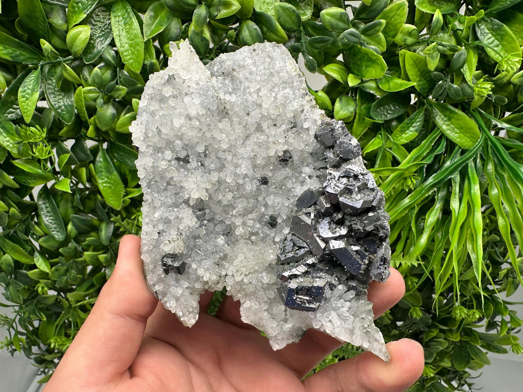 Galena on Quartz Specimen, Cleiophane Mineral, Krushev dol Mine, Bulgaria