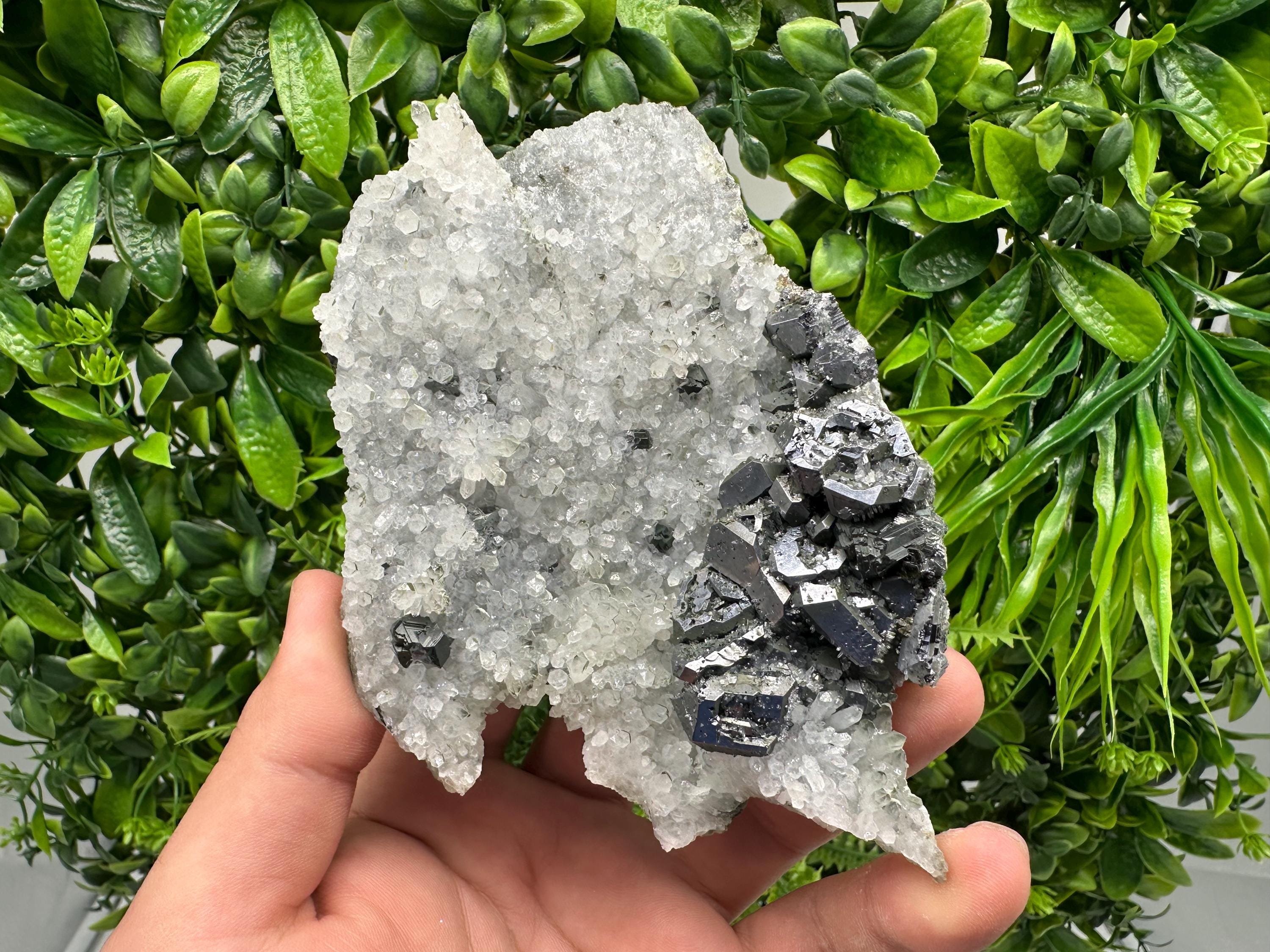 Galena on Quartz Specimen, Cleiophane Mineral, Krushev dol Mine, Bulgaria