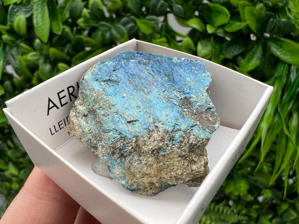 Rare Raw Aerinite Mineral Specimen: Lleida, Spain Crystal Collection (3.5/4 CM)