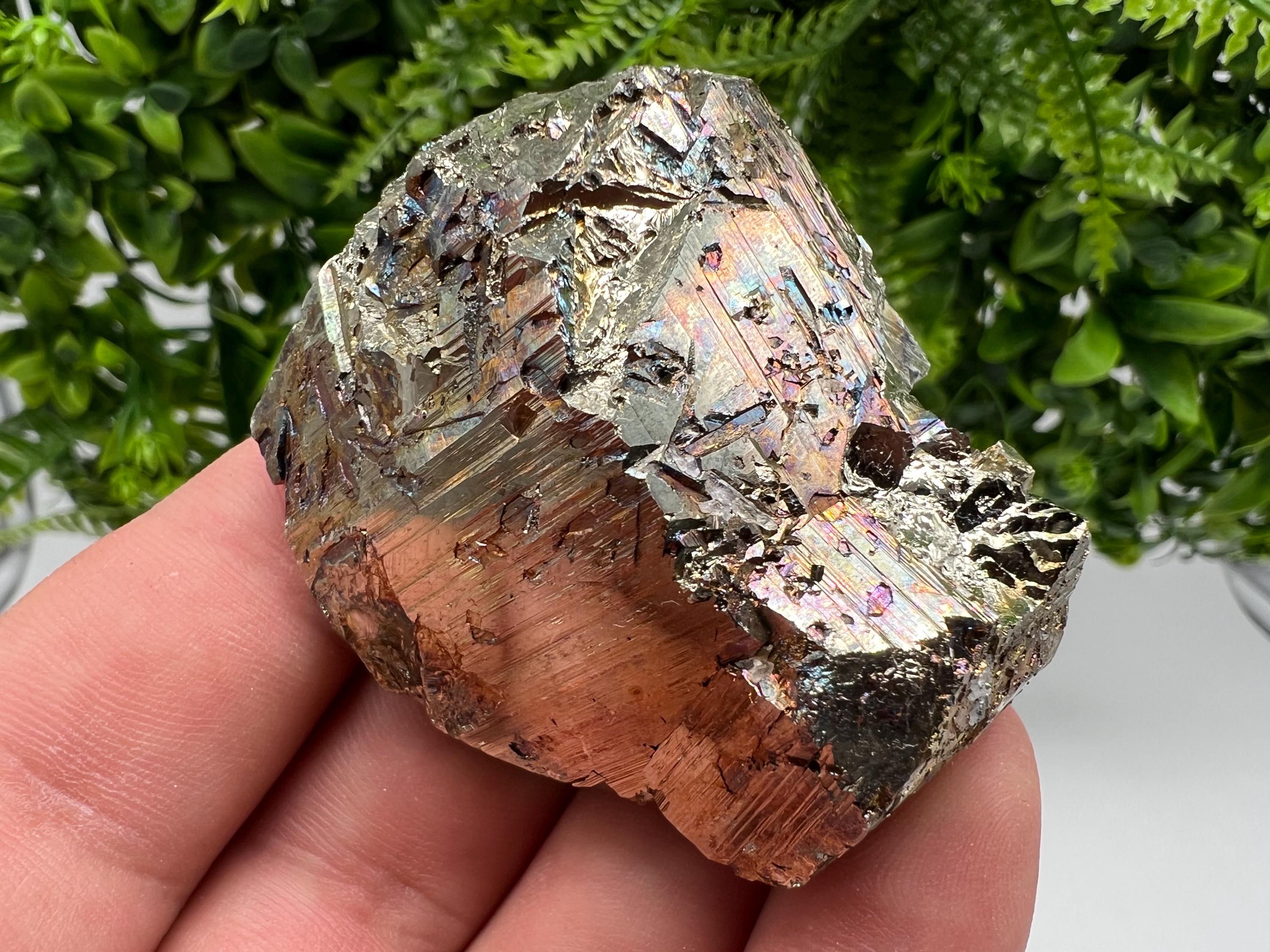 Rainbow Pyrite Hematite Cluster: Borieva Mine, Bulgaria