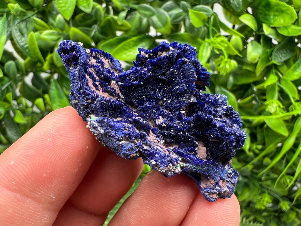 Crystallized Azurite-Kerrouchen,Morocco-Blue Azurite Specimen-High Quality Blue Azurite-Azurite Mineral Specimen, gemmy,lustrous of Azurite