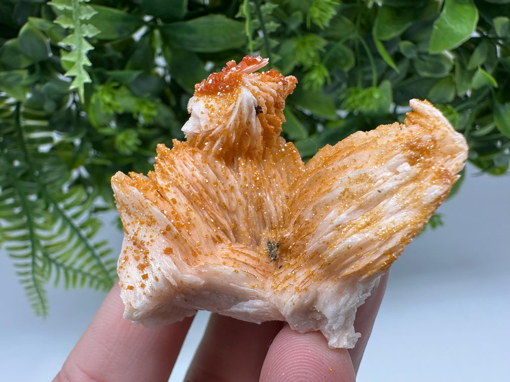 Red Vanadinite on Barite Crystal Specimen, Moroccan Mineral Cluster