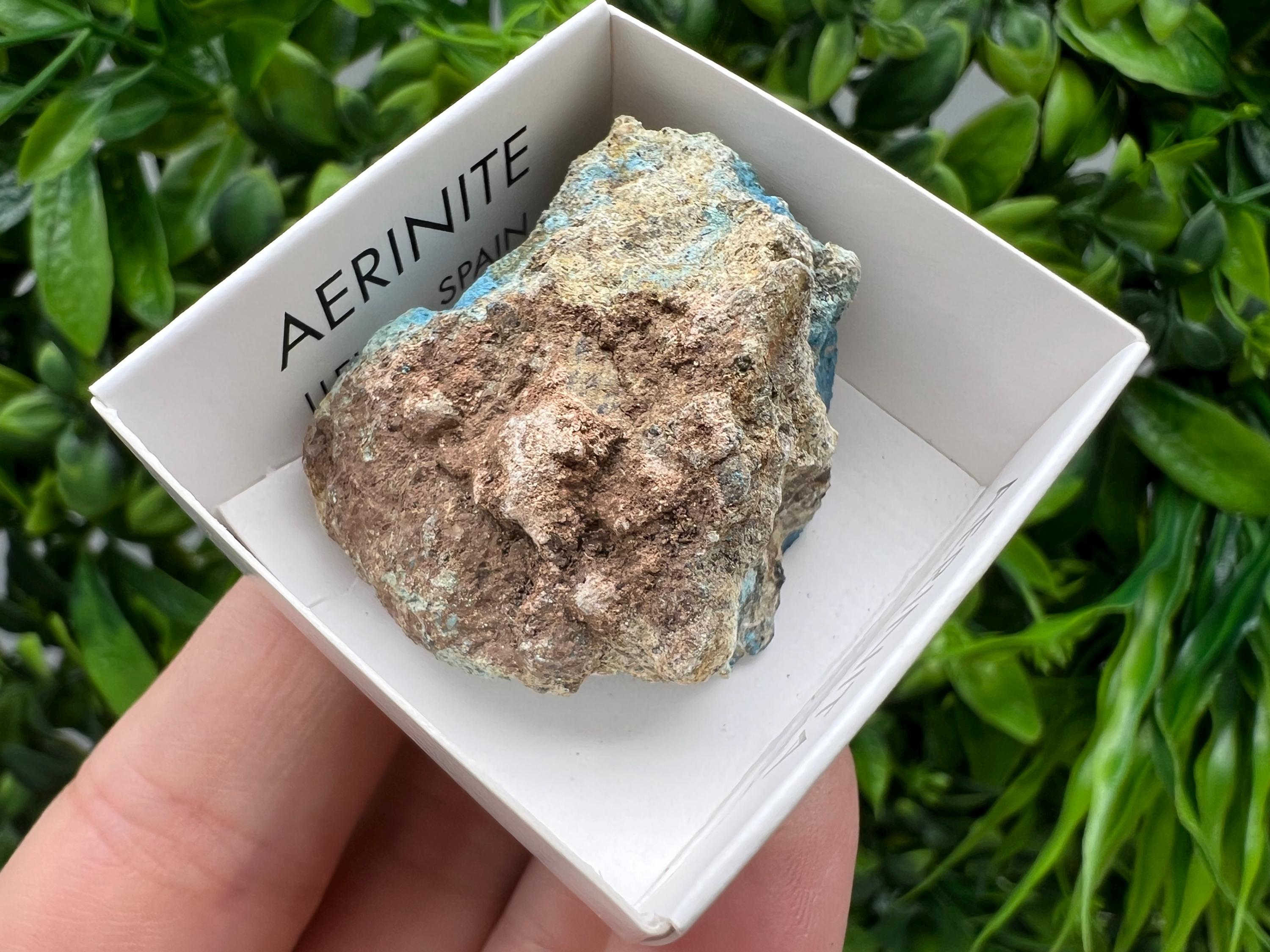 Rare Raw Aerinite Mineral Specimen: Lleida, Spain (3.5/3 CM