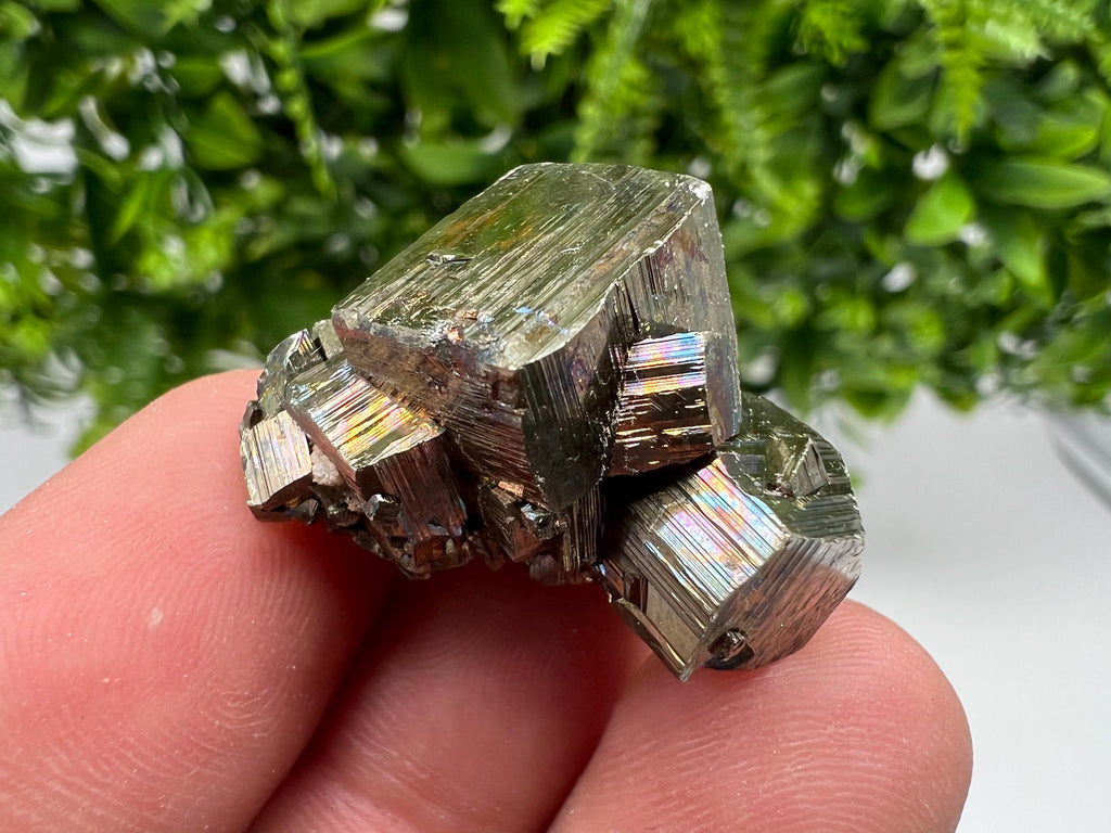 Rainbow Pyrite Hematite Cluster: Borieva Mine, Bulgaria