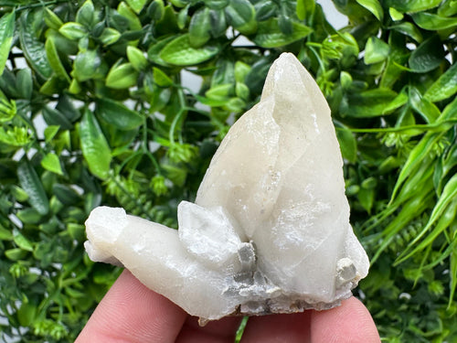 Calcite on Aragonite: Djurkovo Mine, Bulgaria Crystal